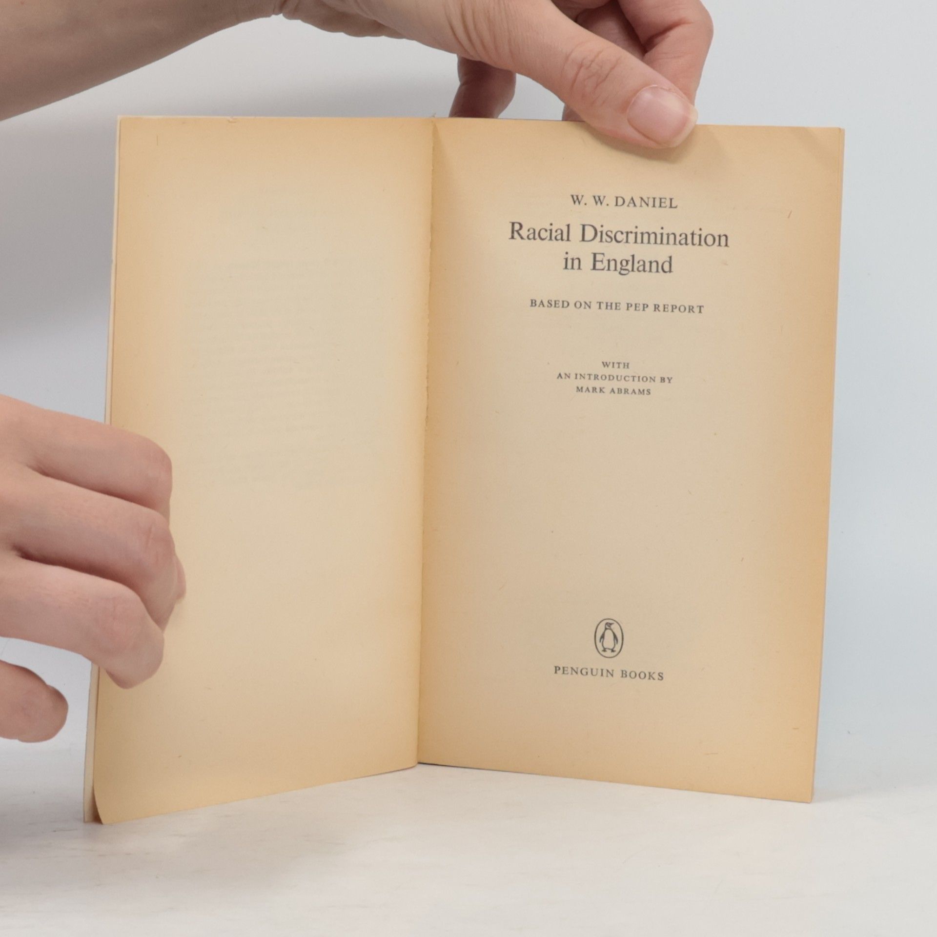 W. W. Daniel Racial Discrimination in England