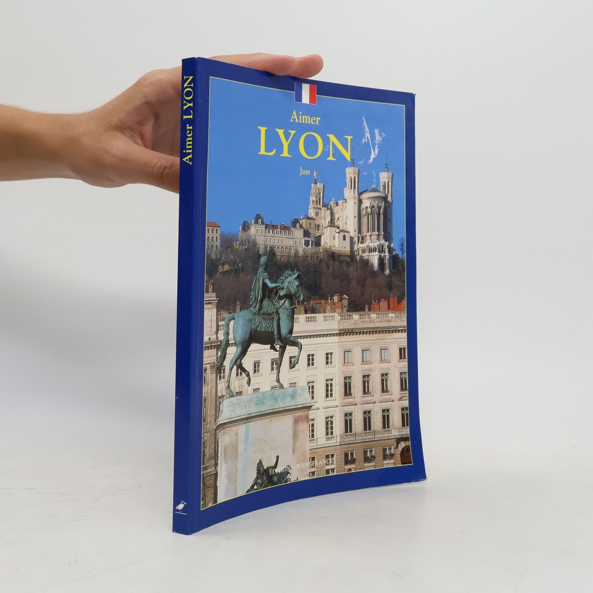 Aimer Lyon
