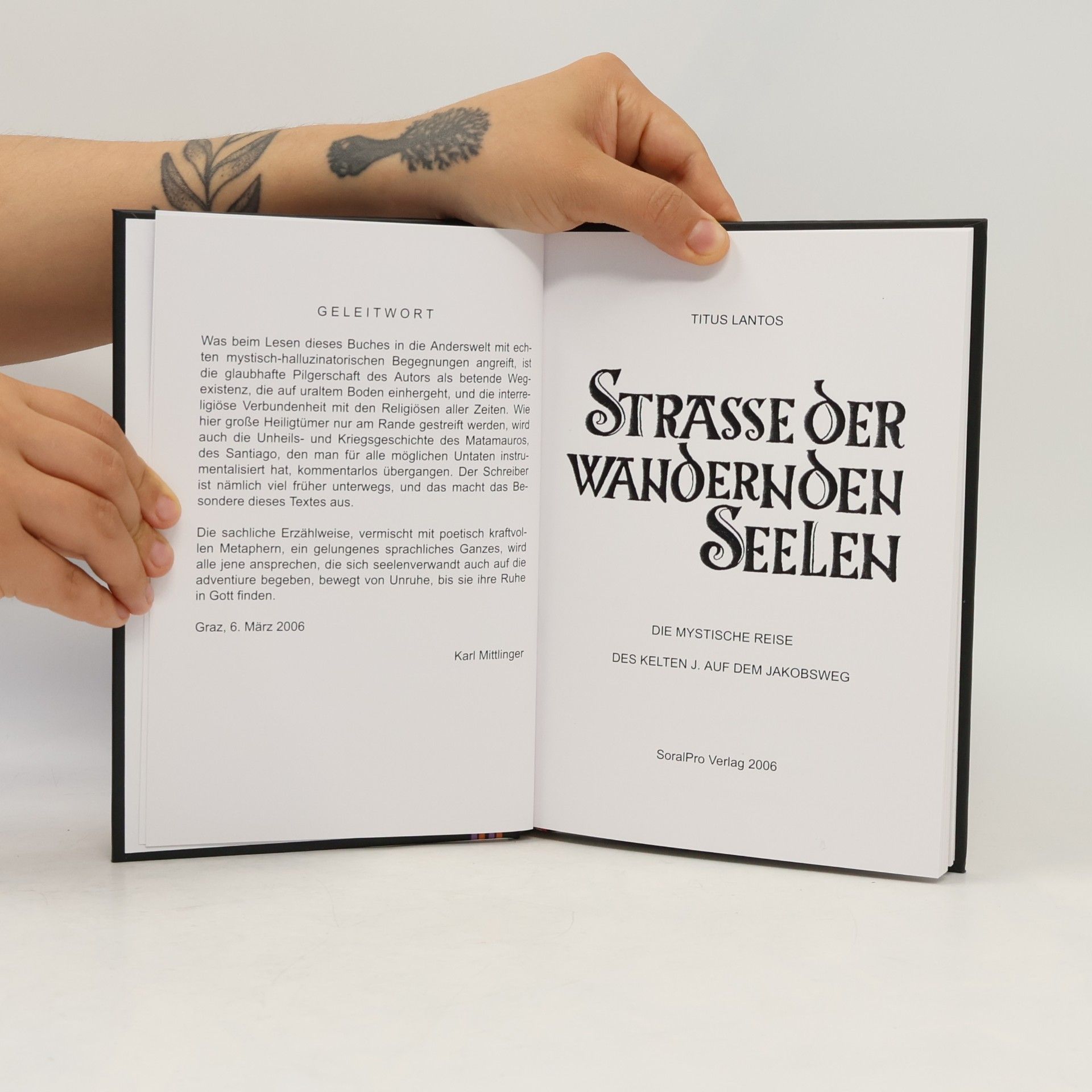 Titus Lantos Strasse der wandernden Seele