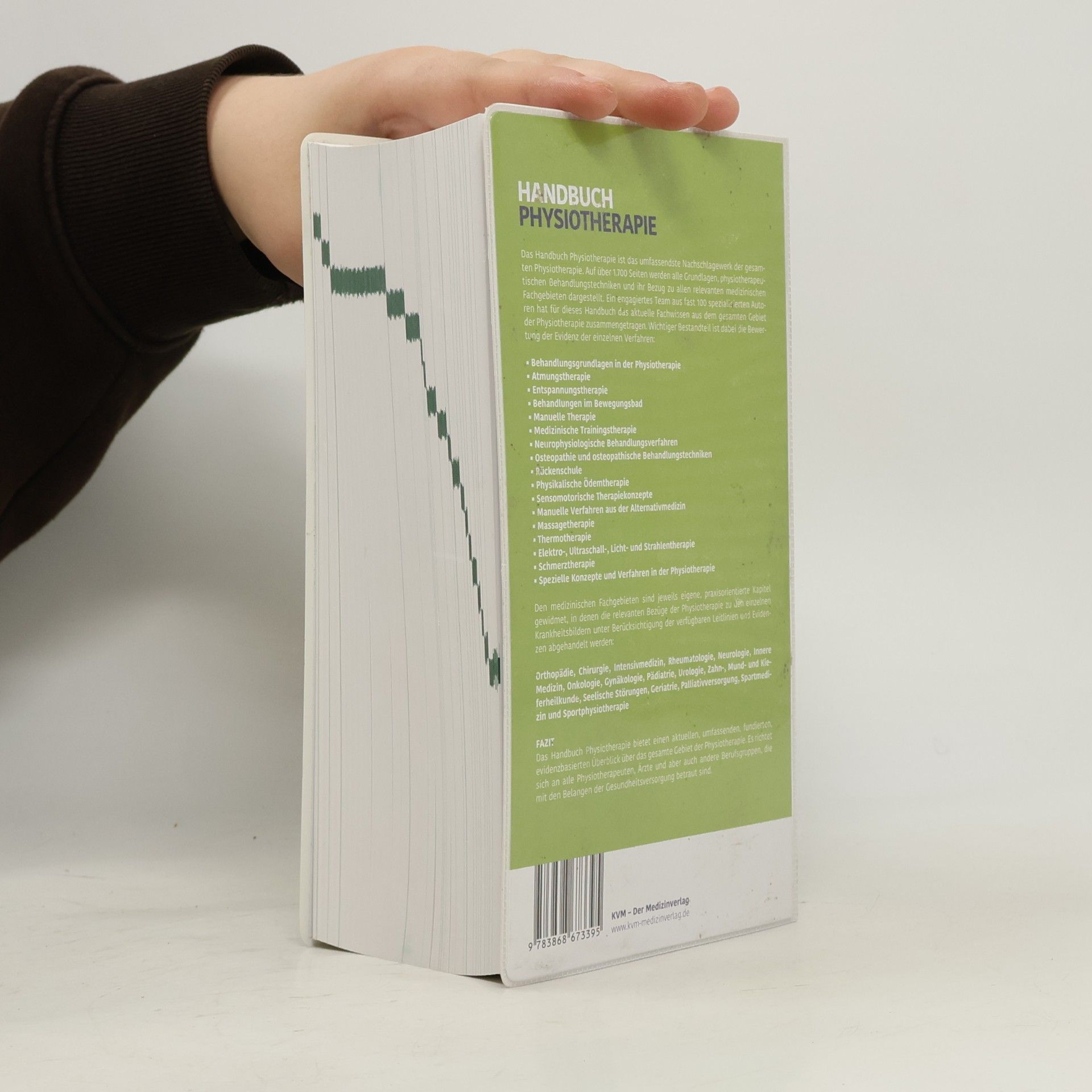 Bernard C. Bernard Carl Kolster Handbuch Physiotherapie