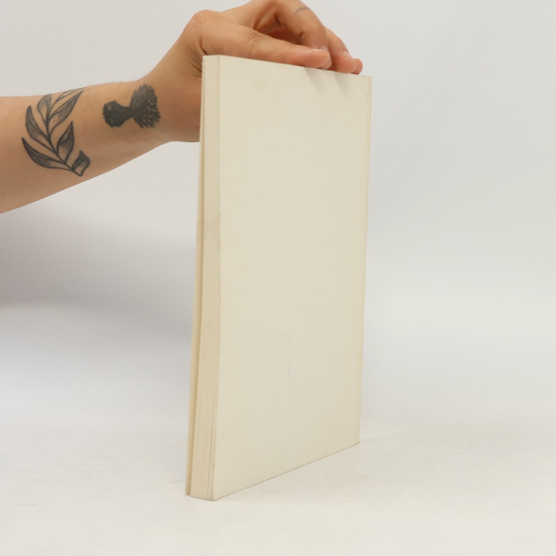 Friedrich Arndt Das Handpuppenspiel