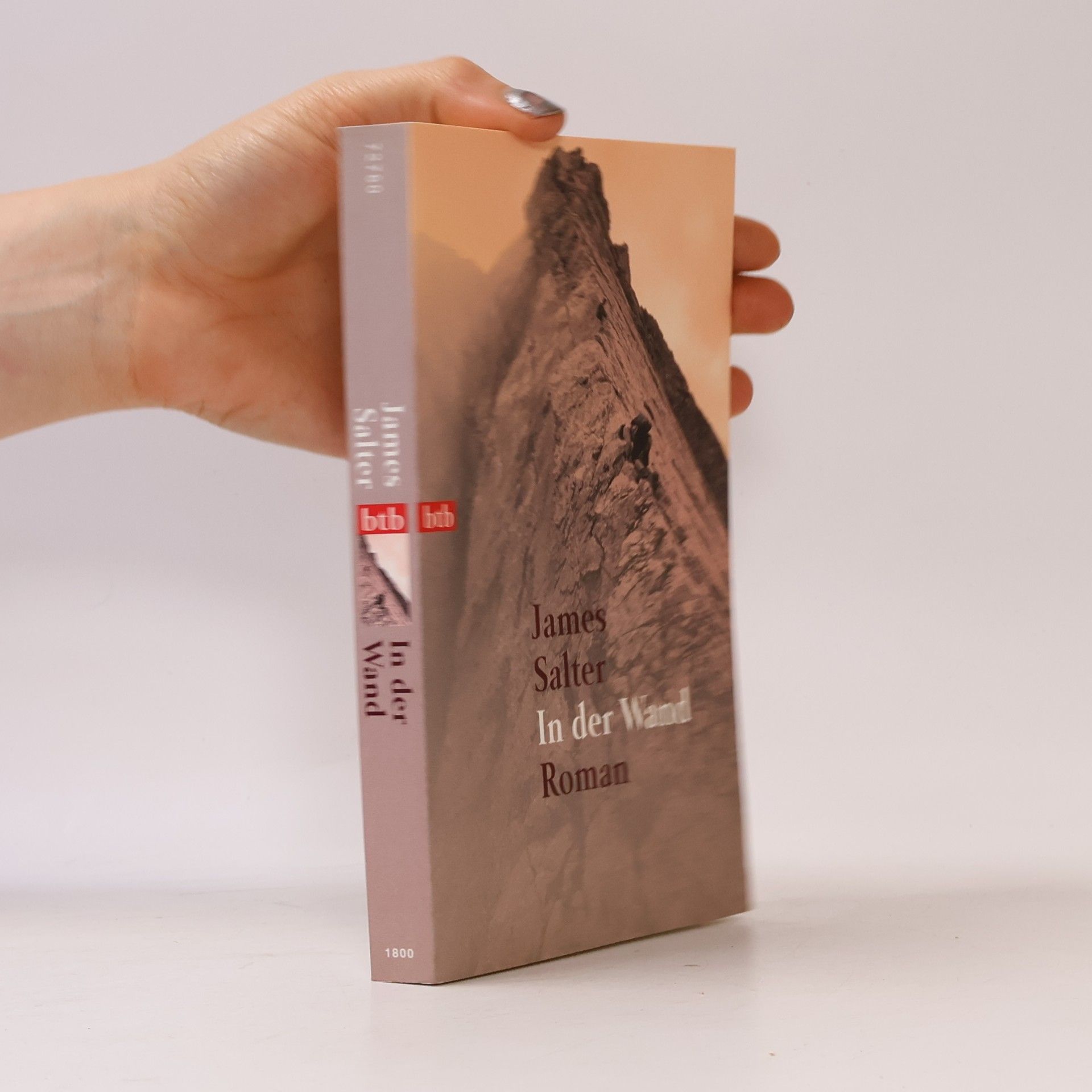 James Salter In der Wand