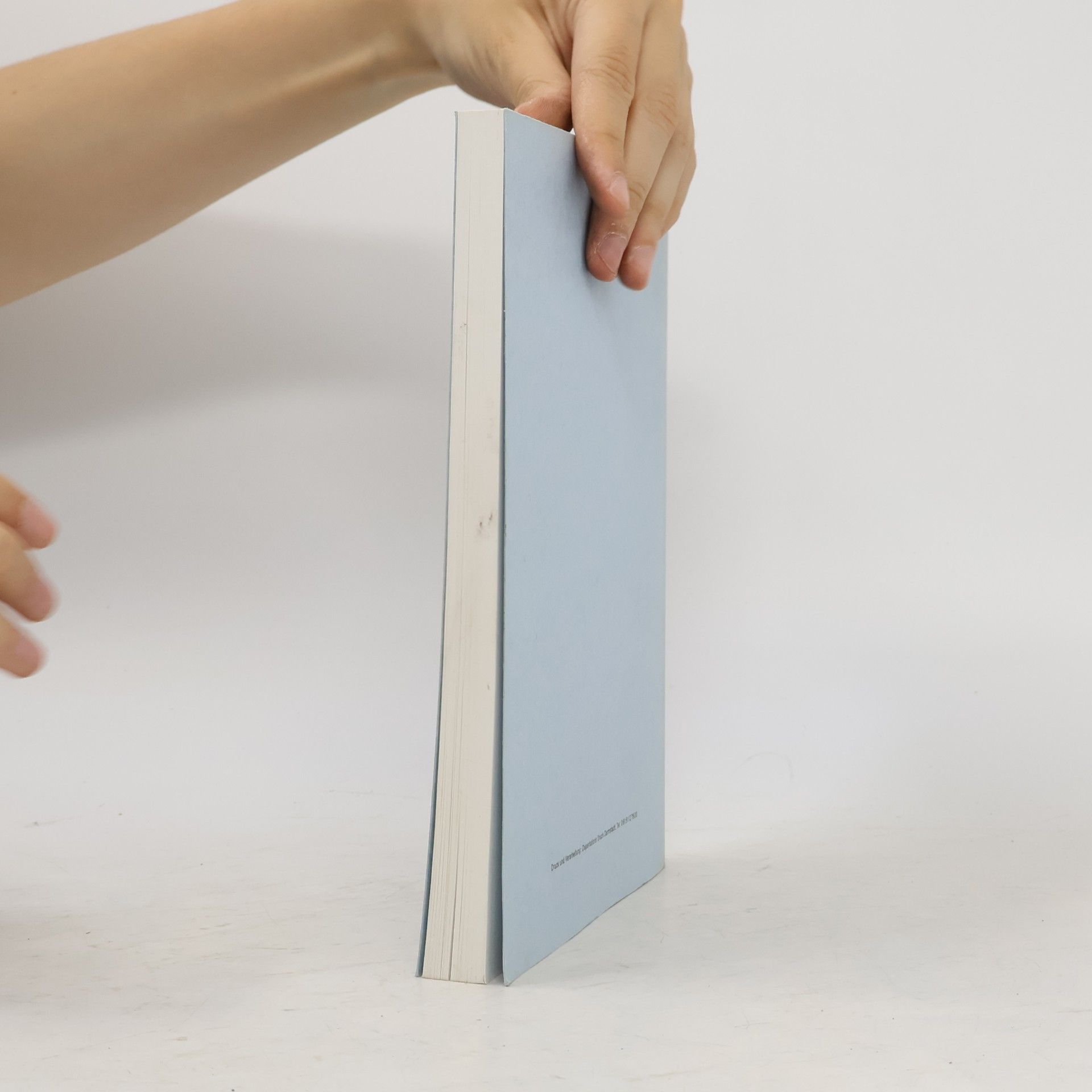 Rita Porsch Schriften zur Sozialen Therapie - 4: Aktuelle Beiträge II