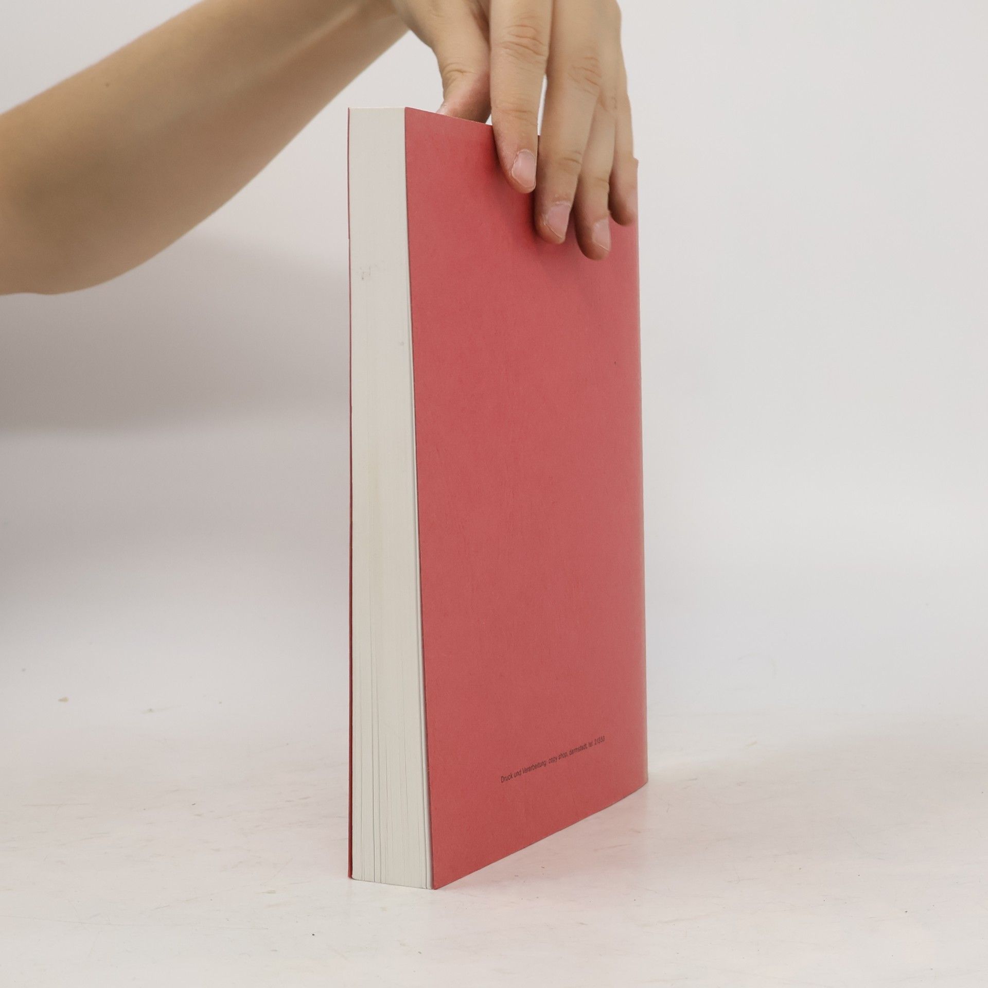 Rita Porsch Schriften zur Sozialen Therapie - 3: Psychisch Kranke