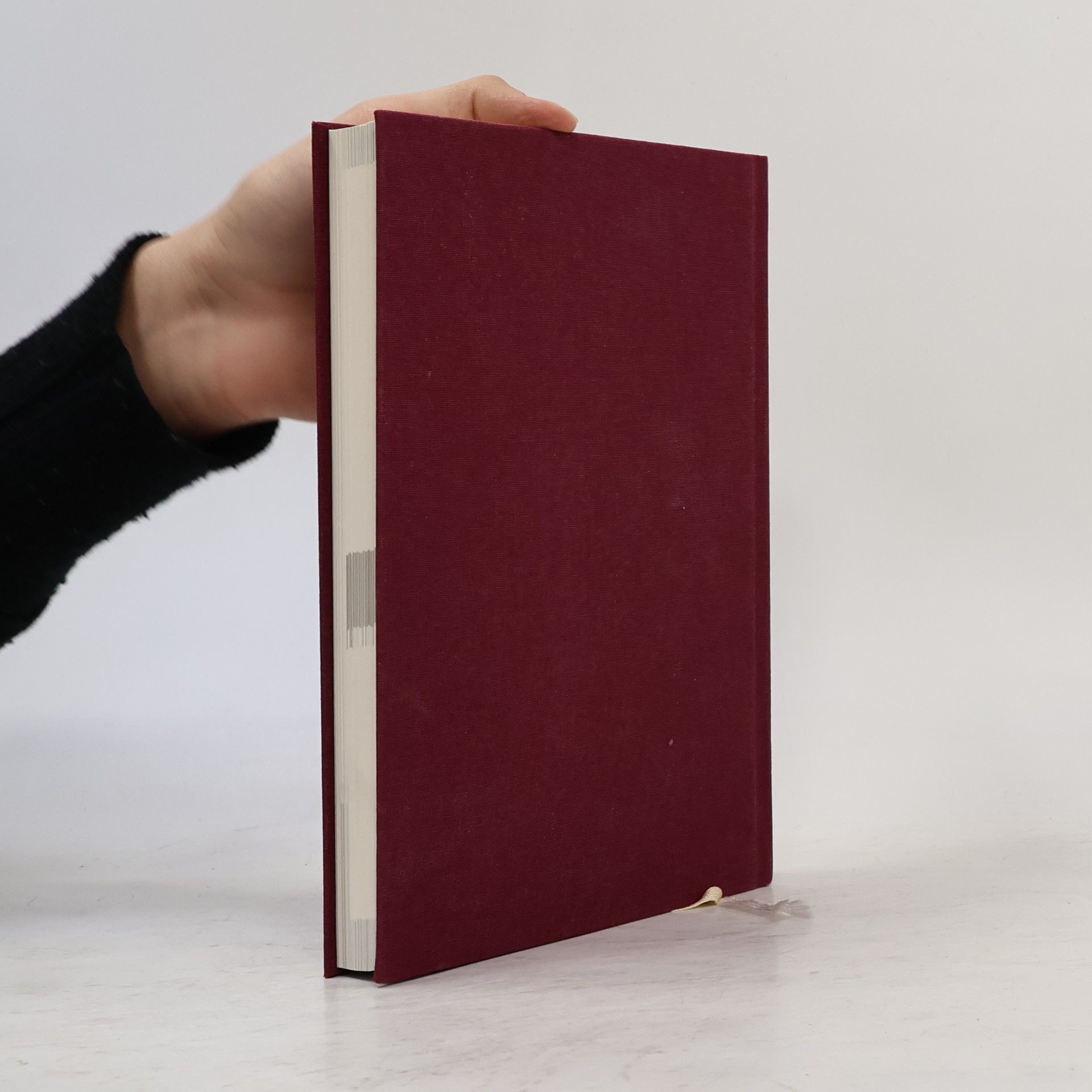 Dominik Spenst Das 6-Minuten-Tagebuch