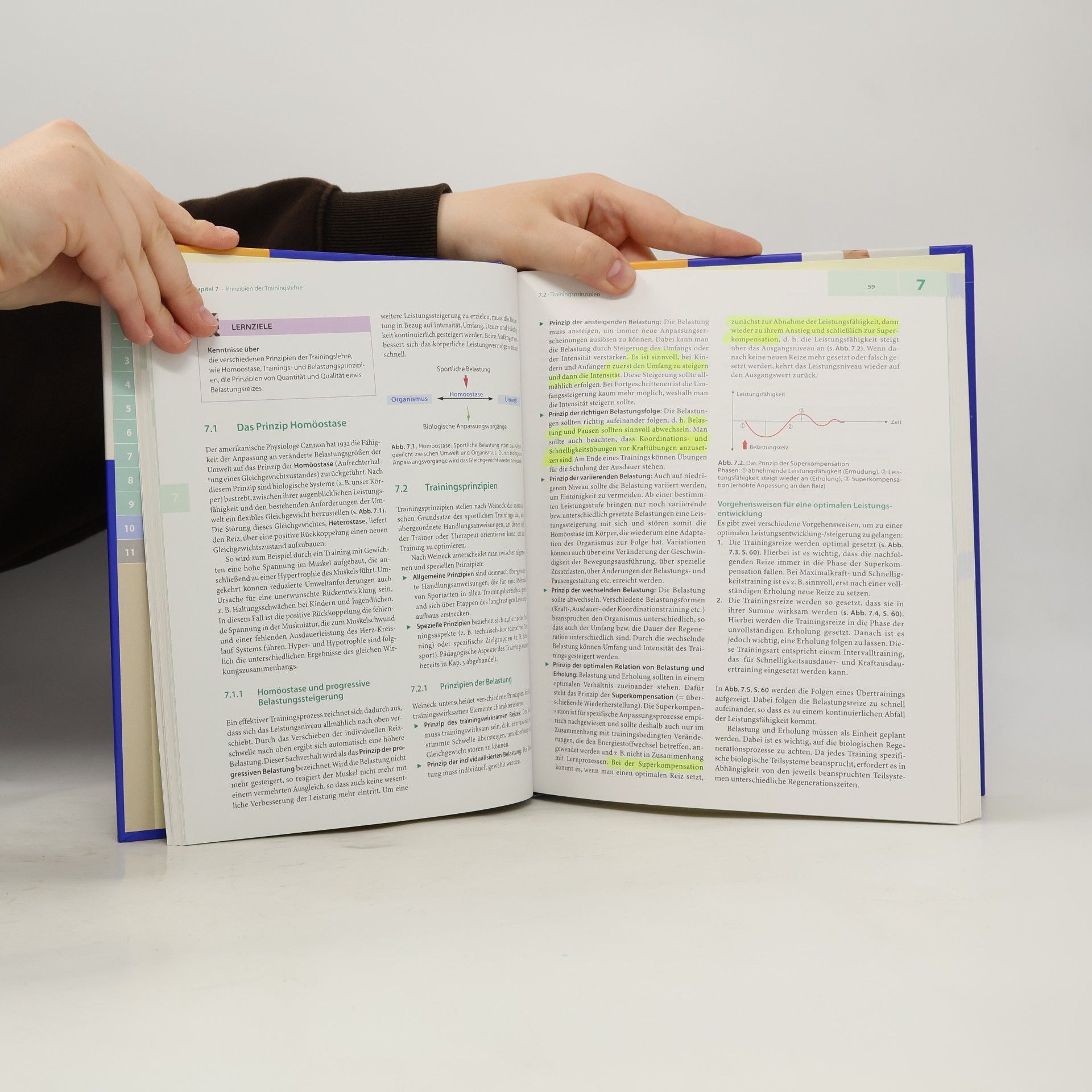 Dietmar Seidenspinner Physiotherapie Basics: Training in der Physiotherapie