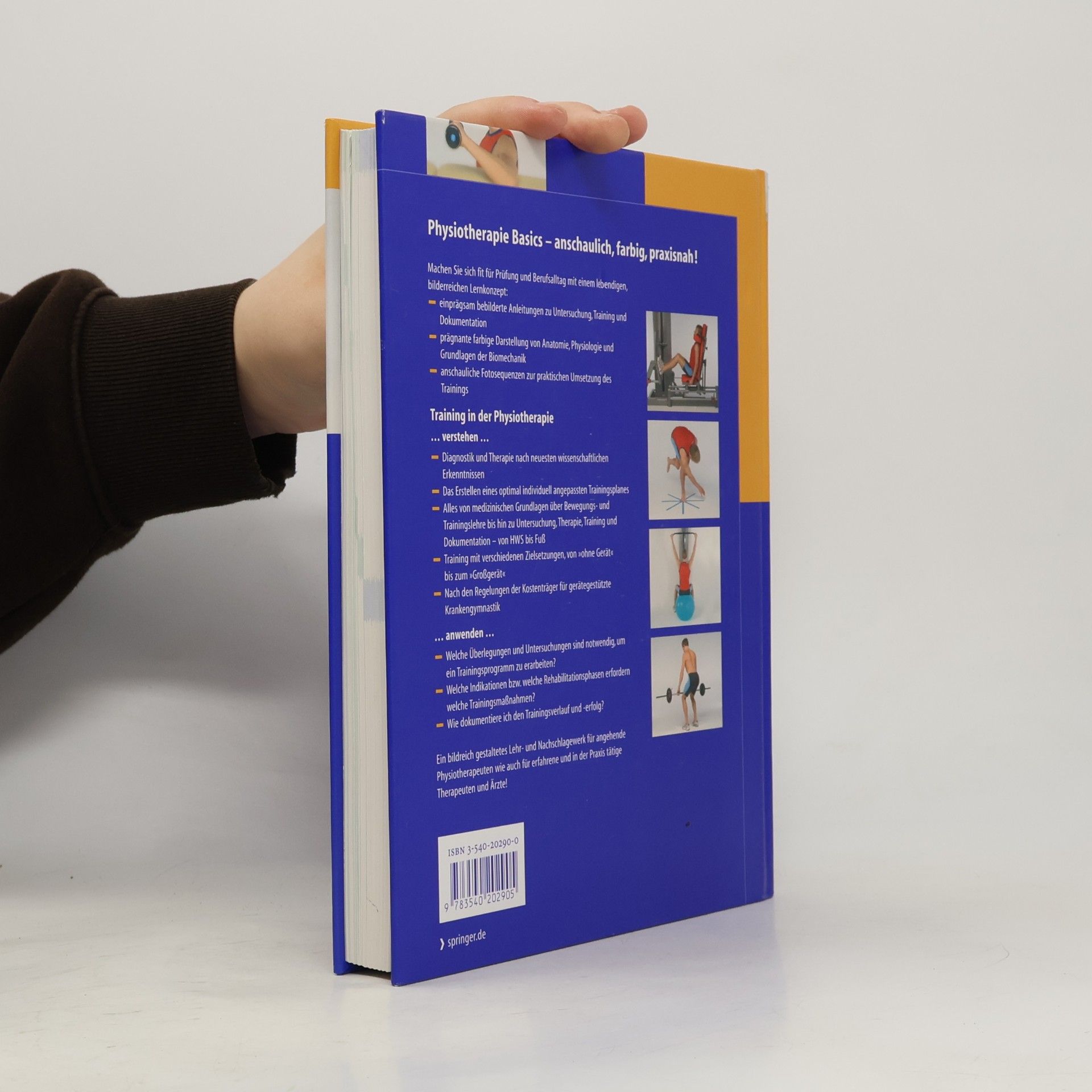 Dietmar Seidenspinner Physiotherapie Basics: Training in der Physiotherapie
