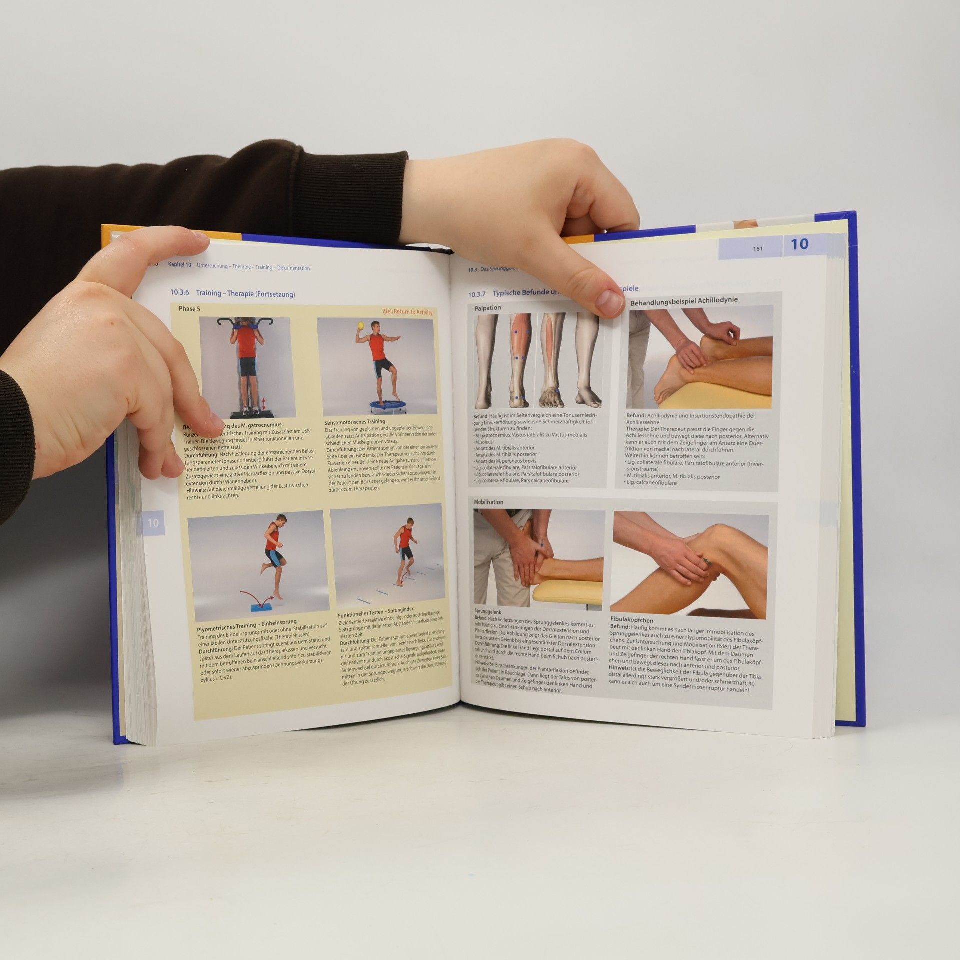 Dietmar Seidenspinner Physiotherapie Basics: Training in der Physiotherapie