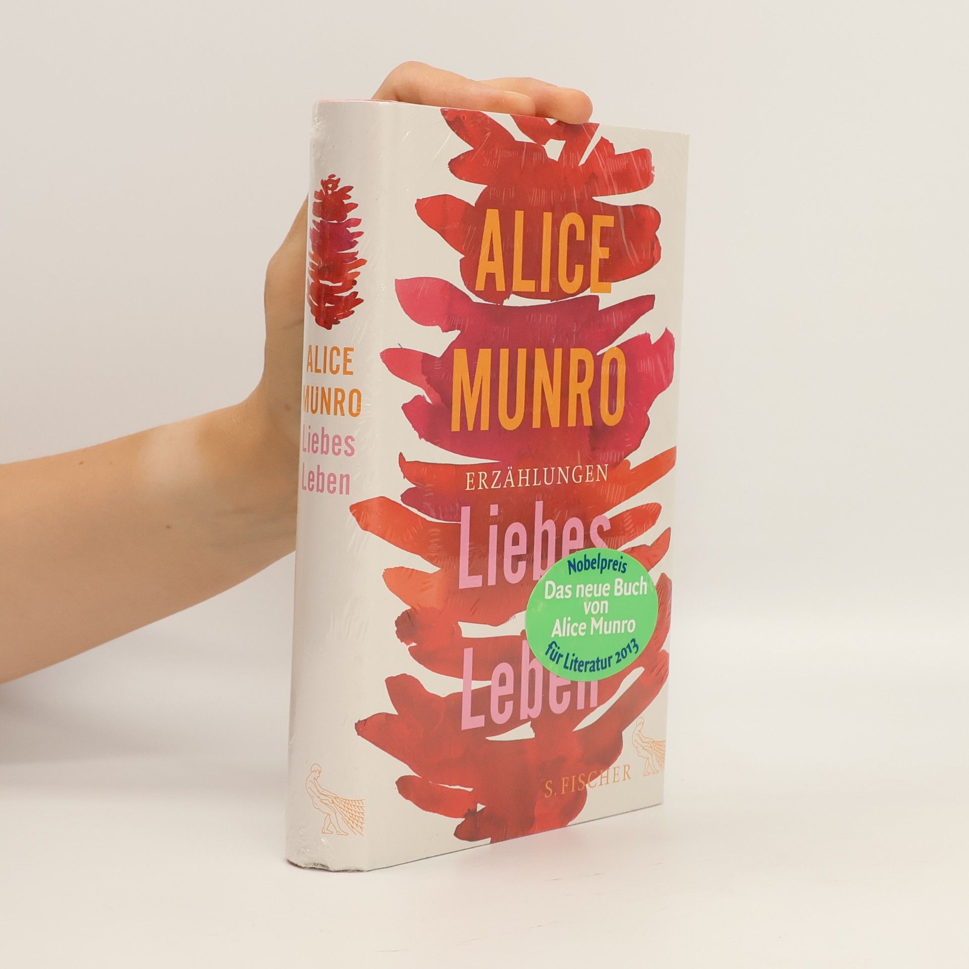 Alice Munro Liebes Leben