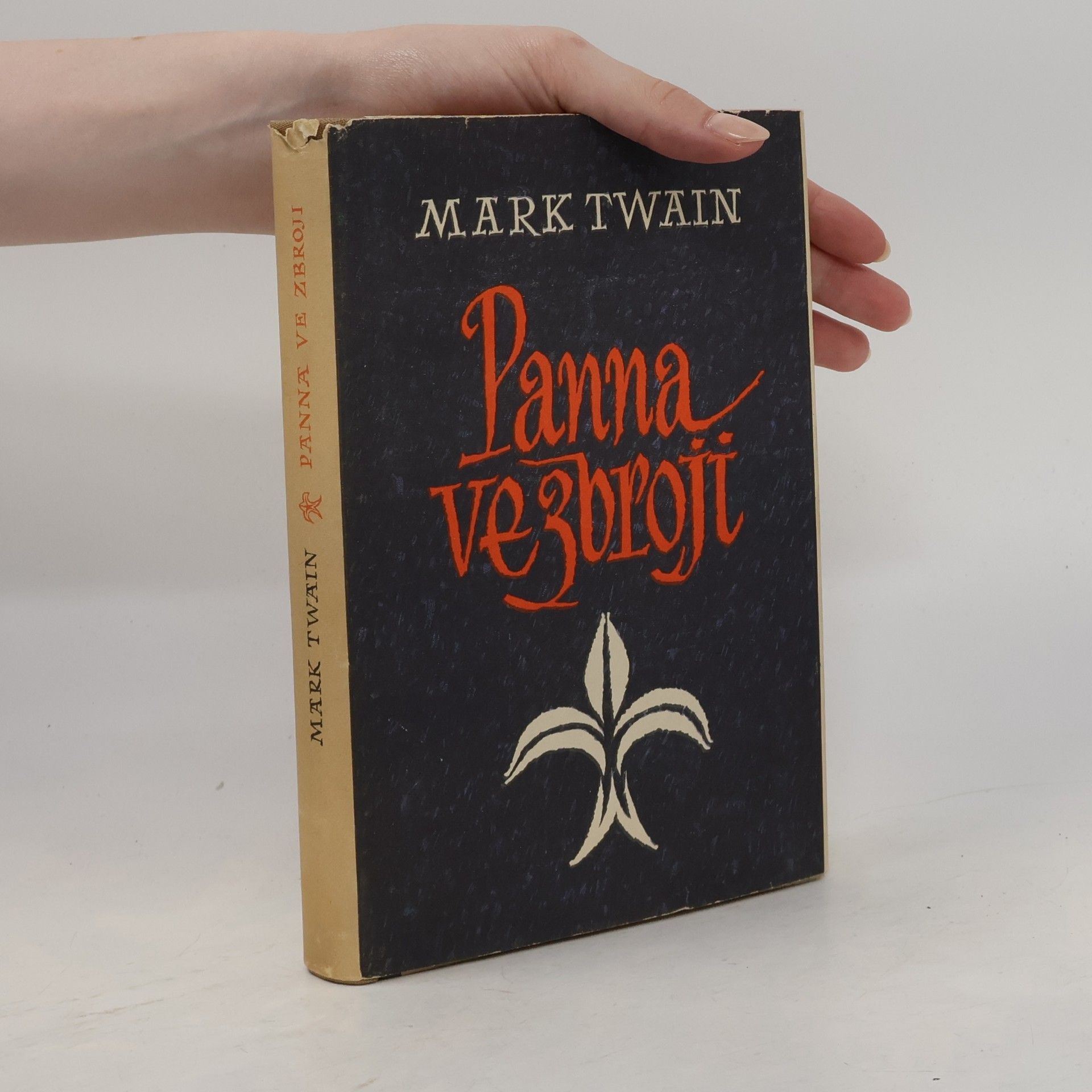 Mark Twain Panna ve zbroji