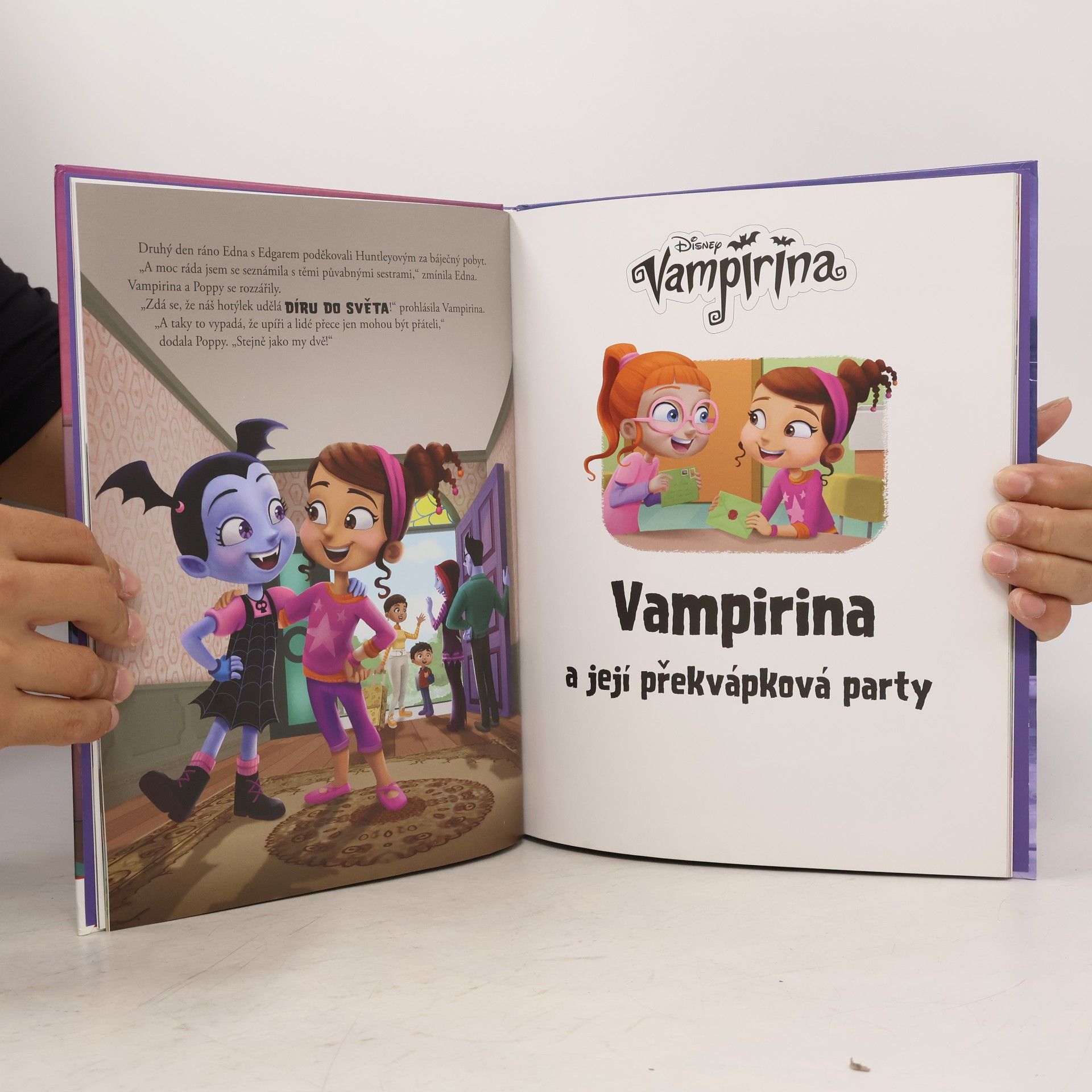 Collectif d'auteurs Vampirina. Strašidelný motel