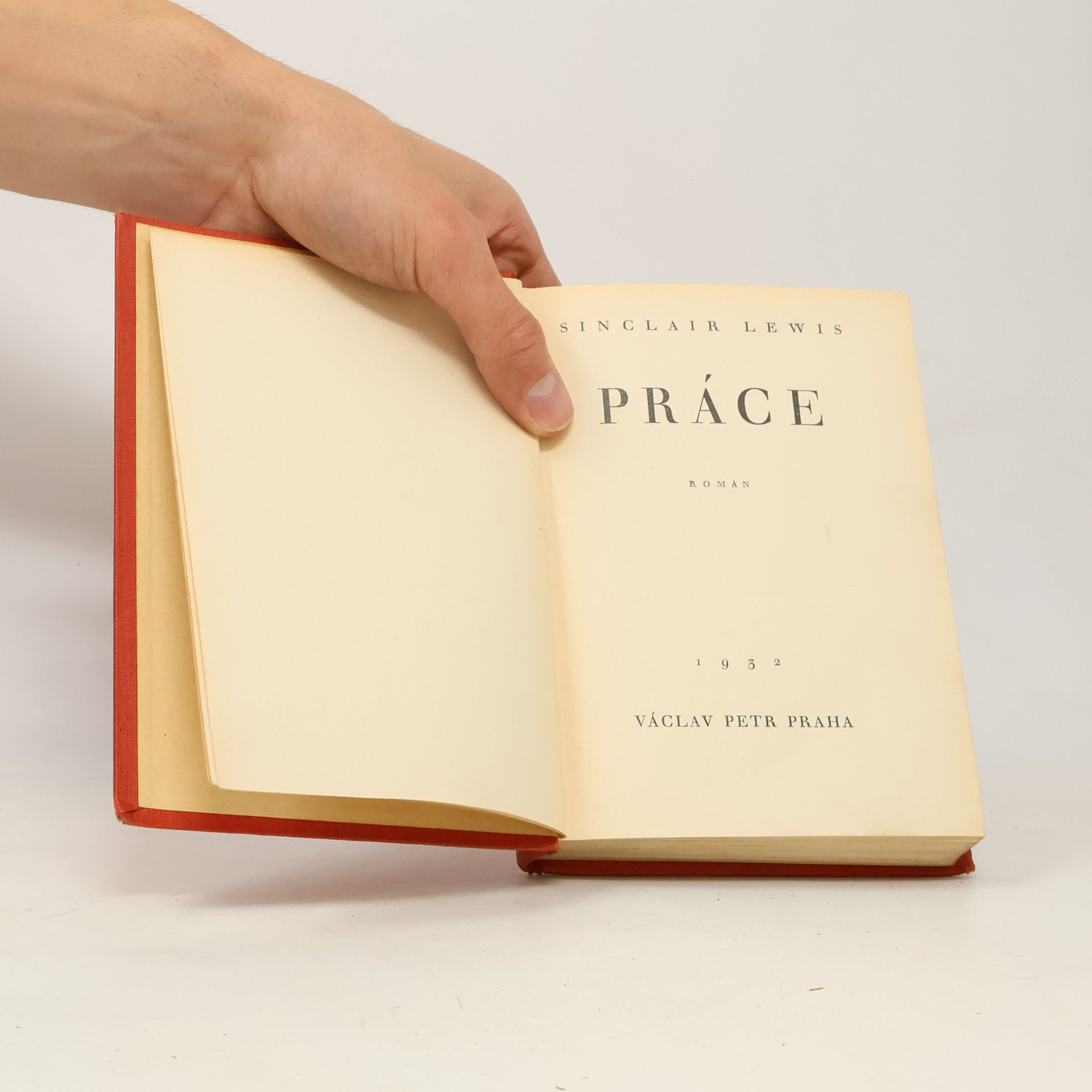 Sinclair Lewis Práce