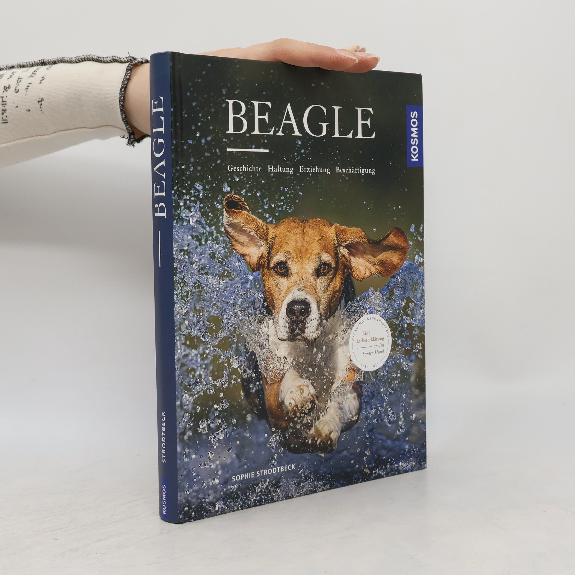 Sophie Strodtbeck Beagle