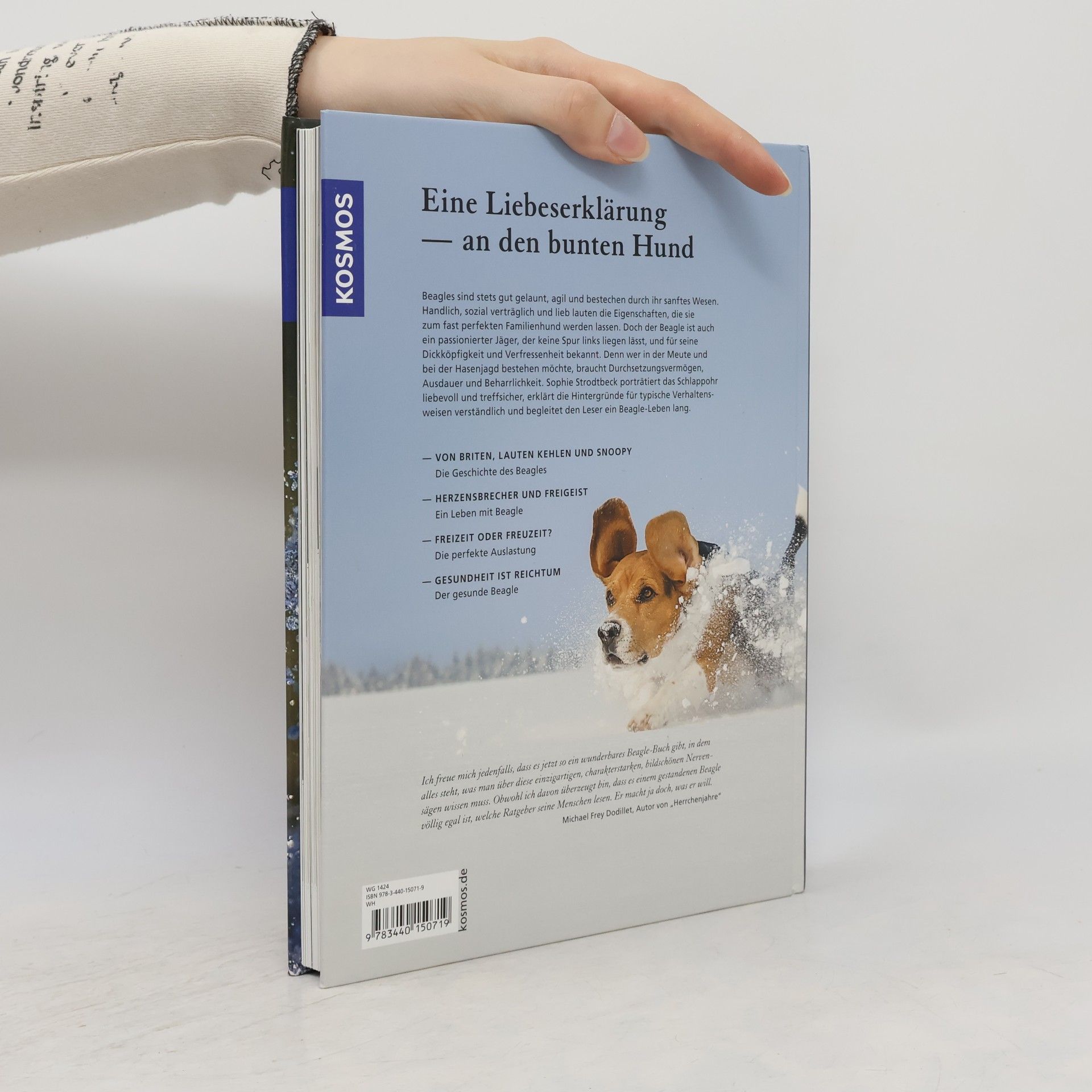 Sophie Strodtbeck Beagle