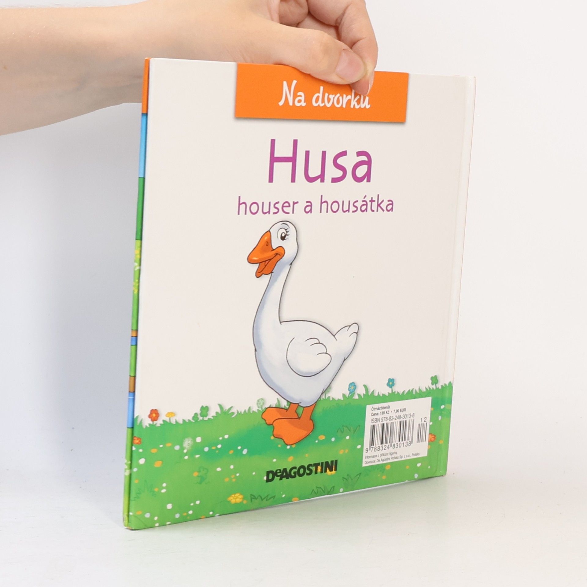 Various authors Na dvorku 29. Husa