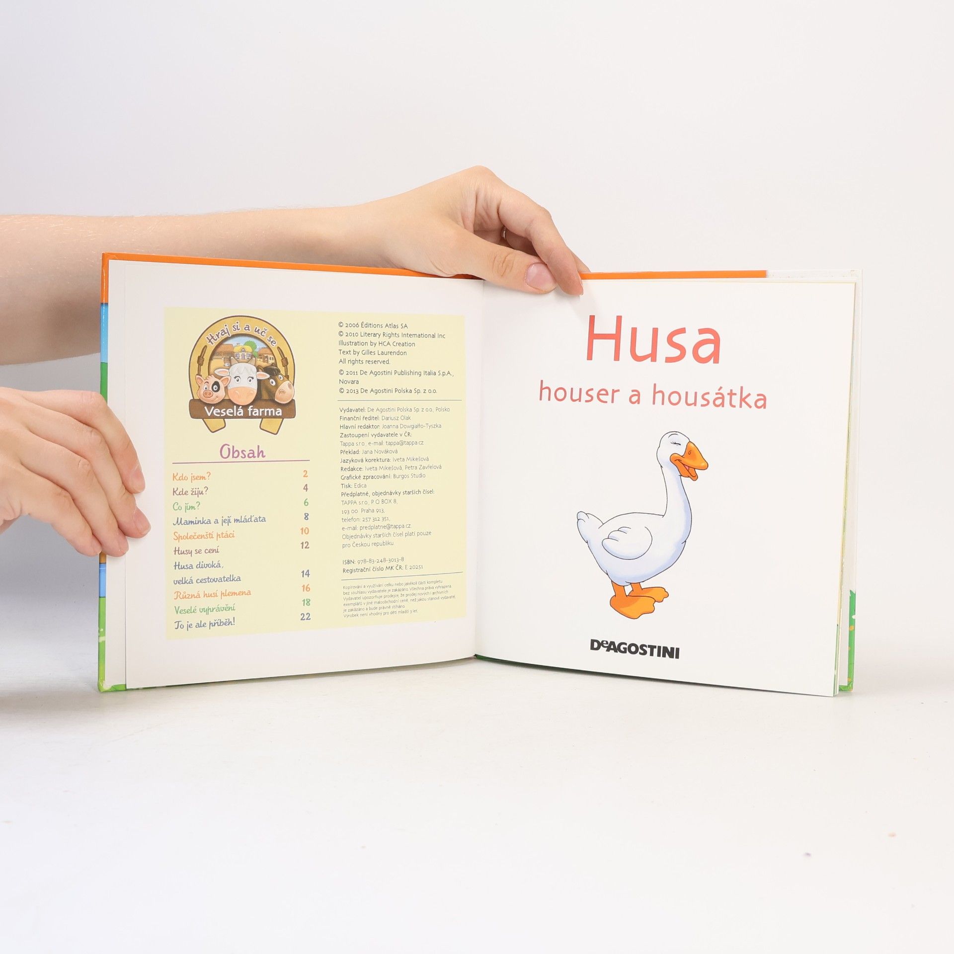 Various authors Na dvorku 29. Husa