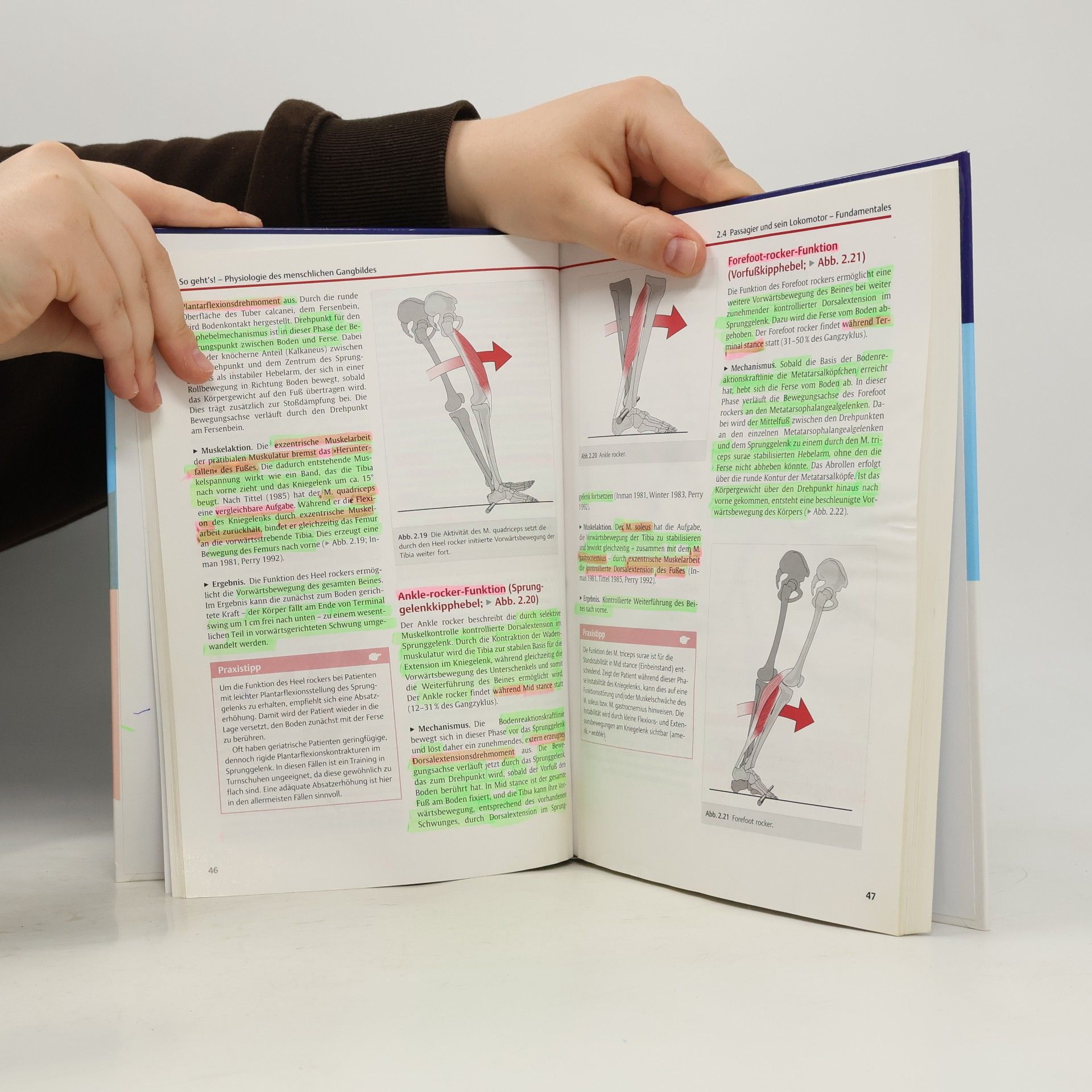 Kirsten Götz-Neumann Physiofachbuch: Gehen verstehen
