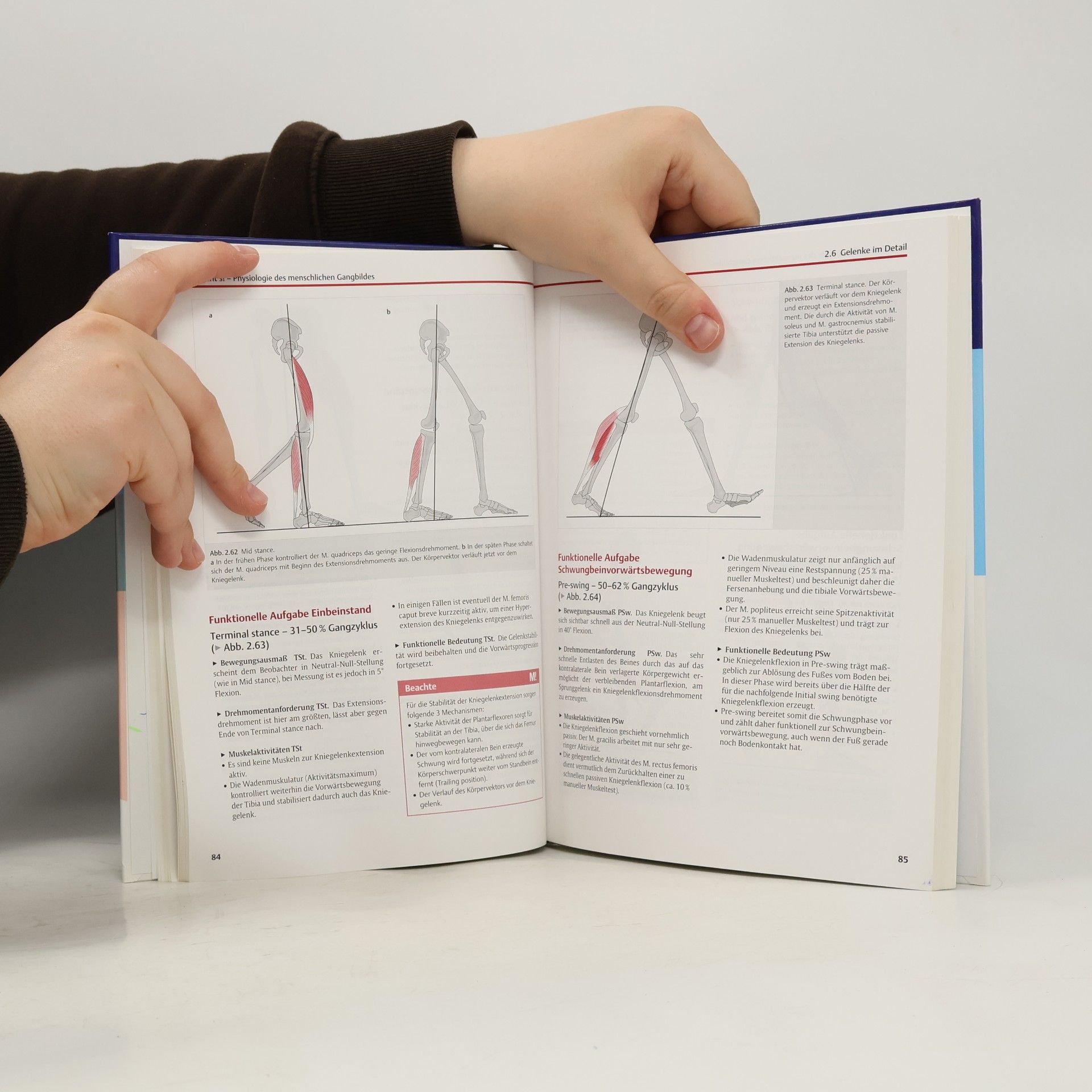Kirsten Götz-Neumann Physiofachbuch: Gehen verstehen