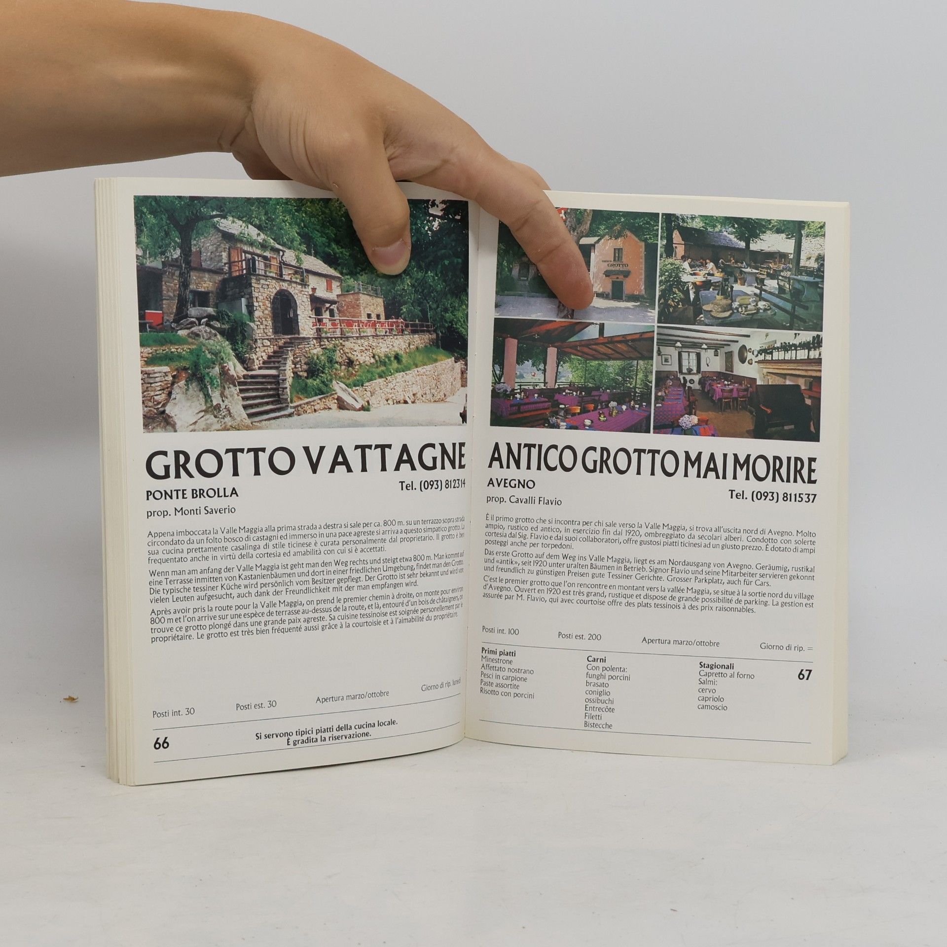 Kolektiv autorů Guida Ai "Grotti" del Ticino e Mesolcina