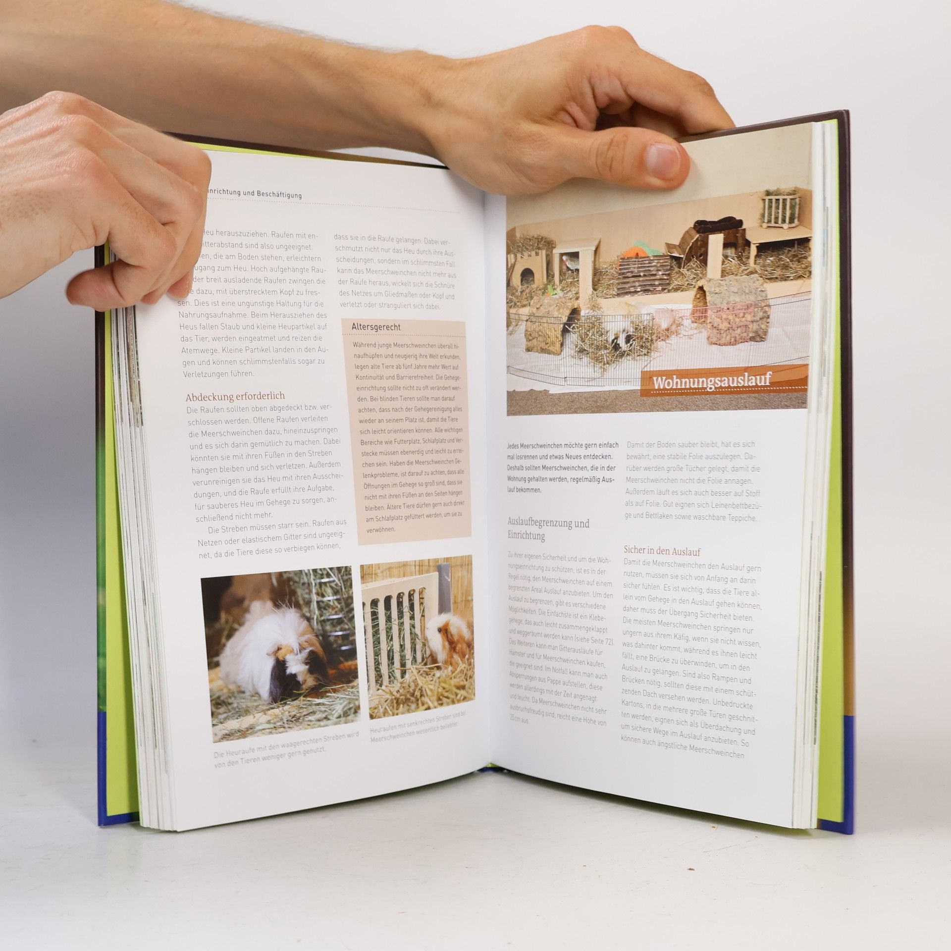 Christine Wilde Das Kosmos-Handbuch Meerschweinchen