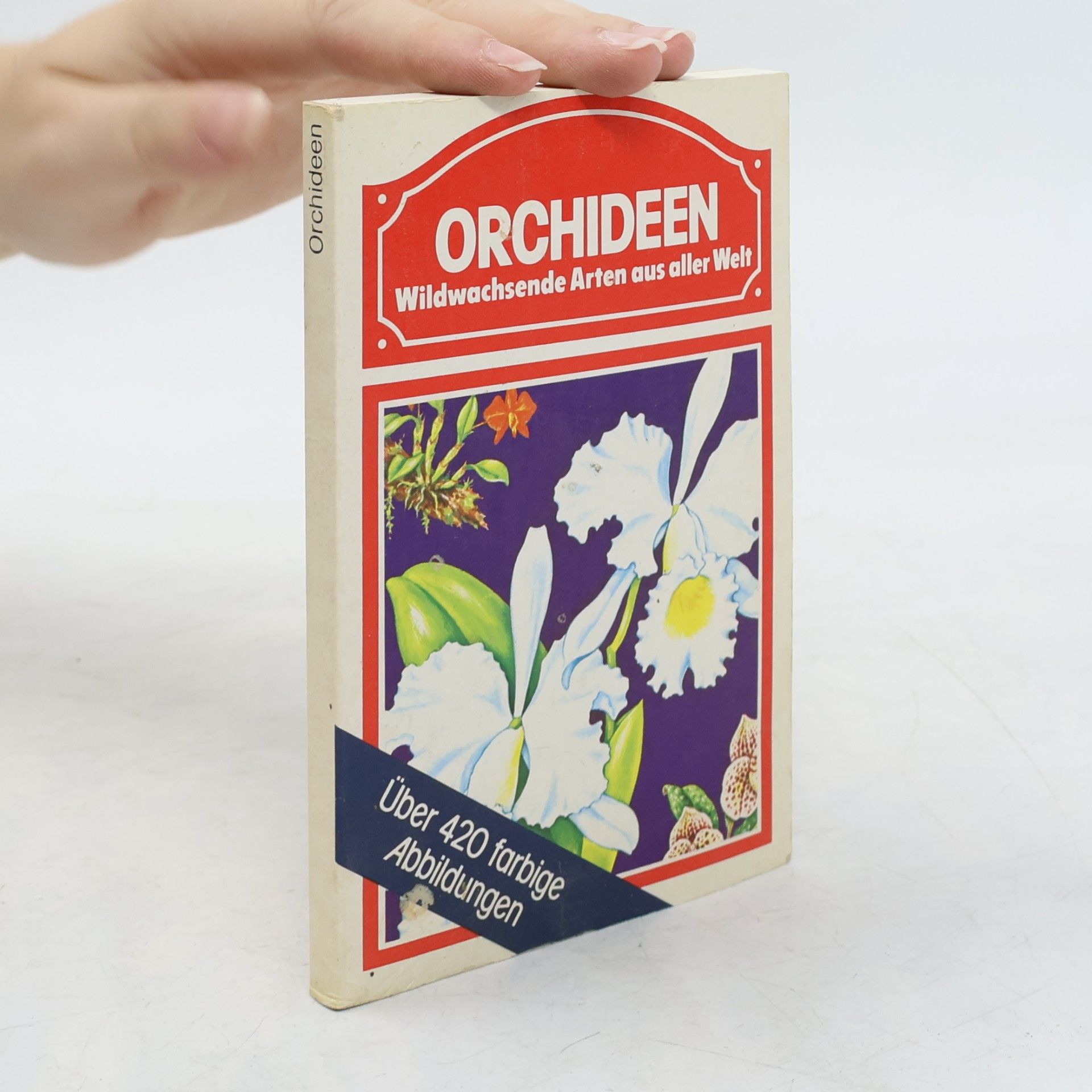 Orchideen
