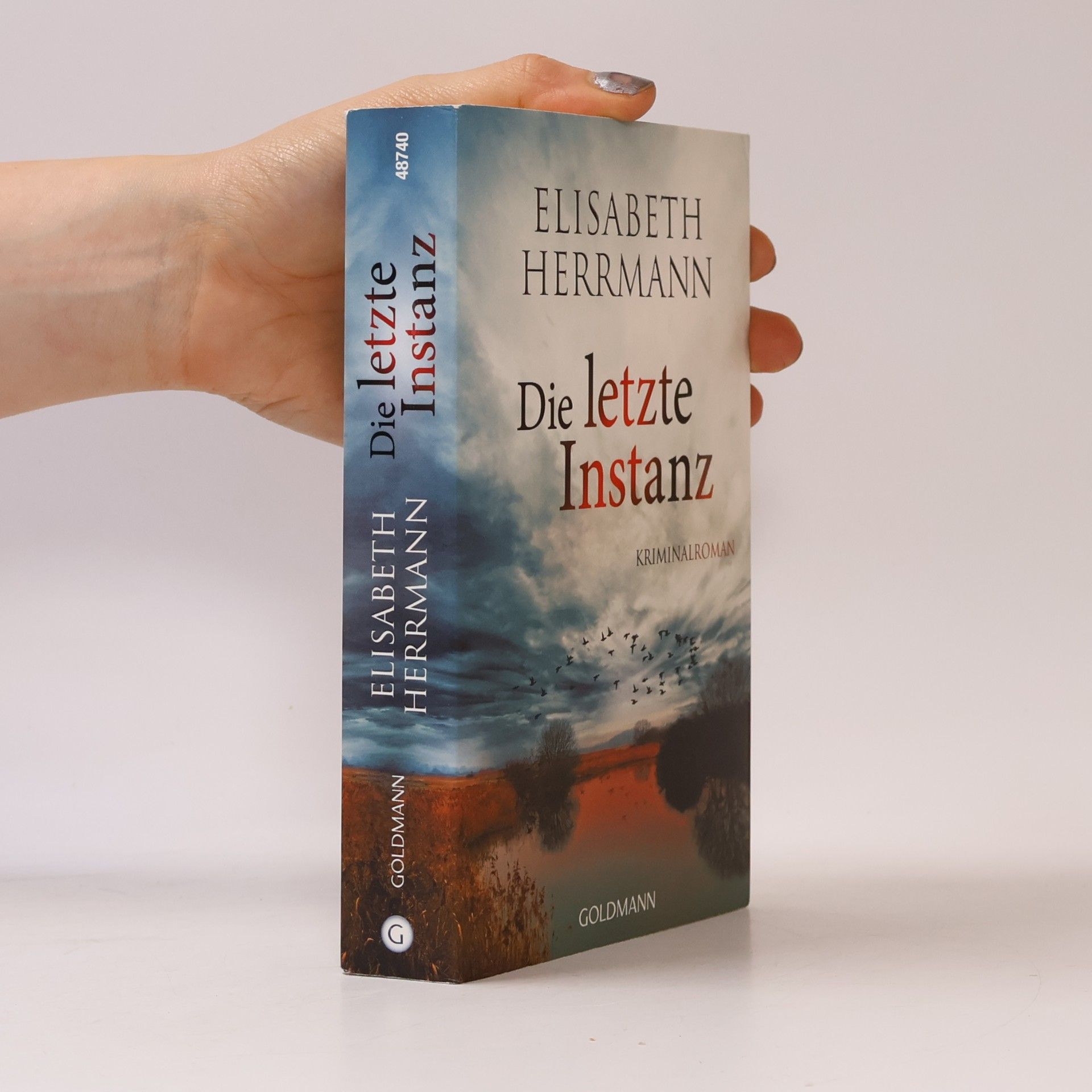 Elisabeth Hermann Die letzte Instanz