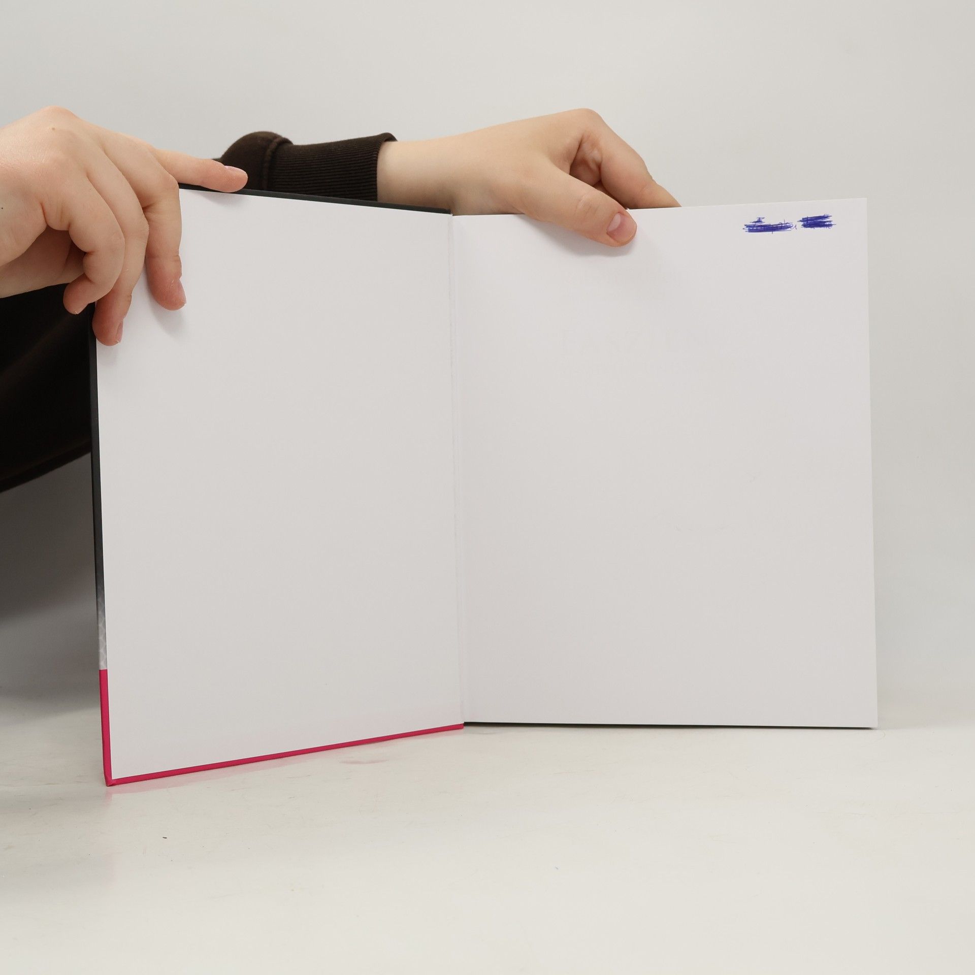 Robert Schleip Faszien in Sport und Alltag