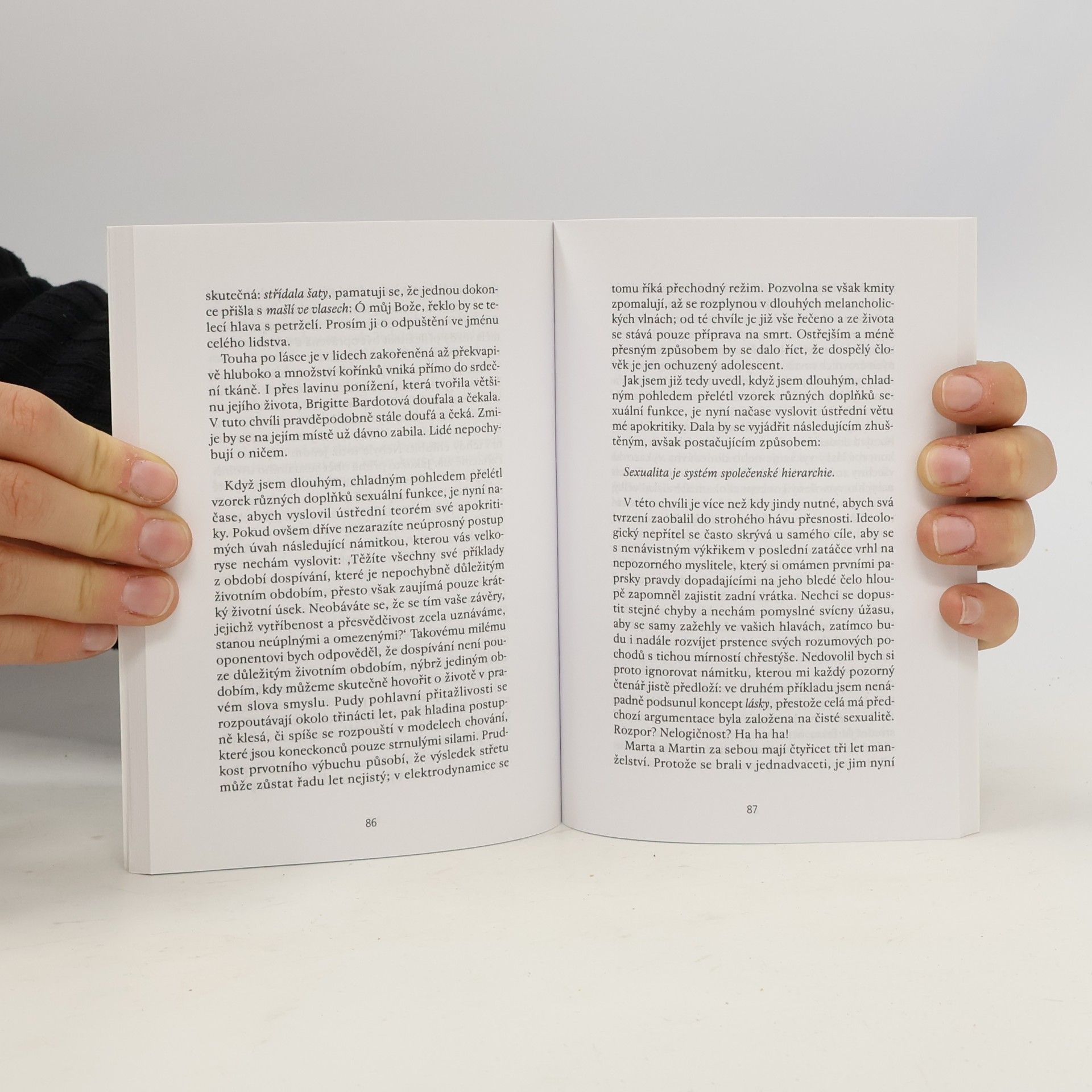 Michel Houellebecq Rozšíření bitevního pole