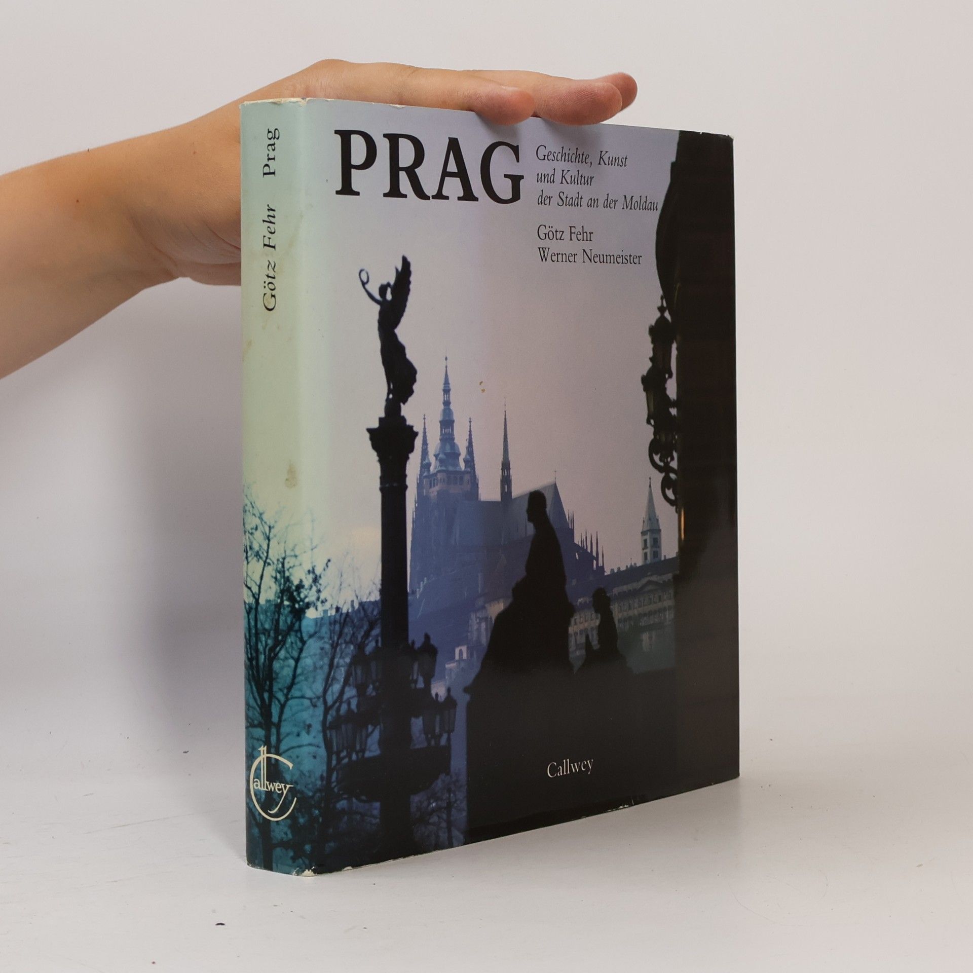 Götz Fehr Prag, Stadt an der Moldau