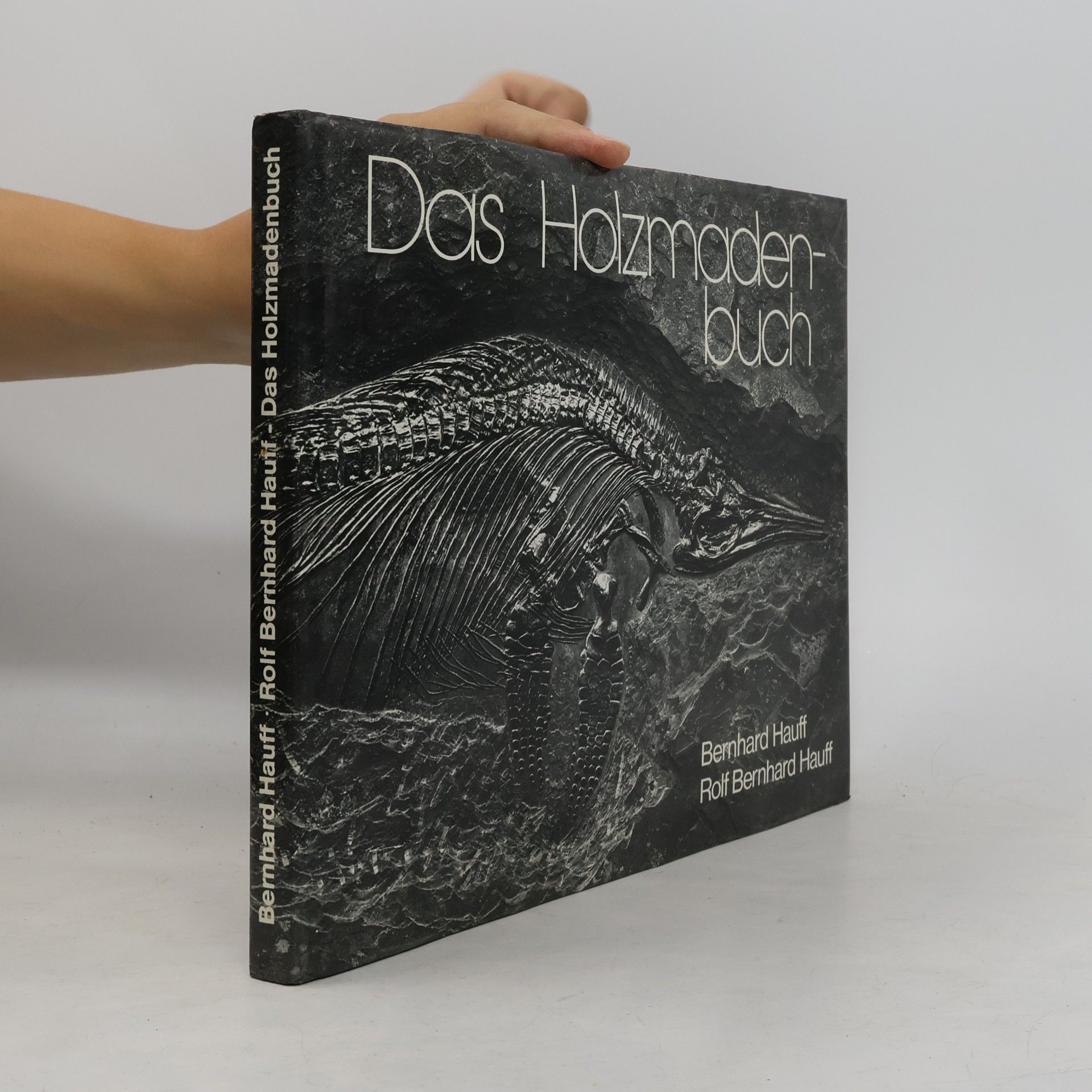 Bernhard Hauff Das Holzmadenbuch