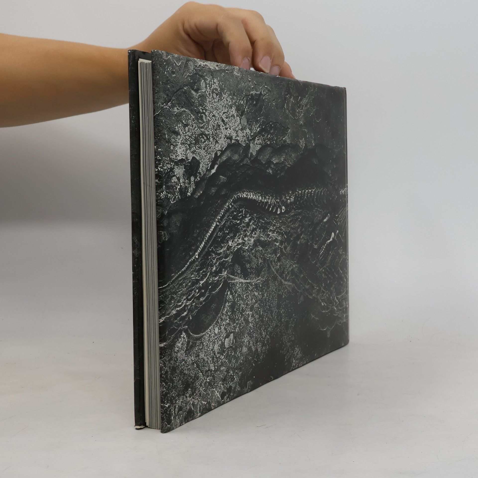 Bernhard Hauff Das Holzmadenbuch