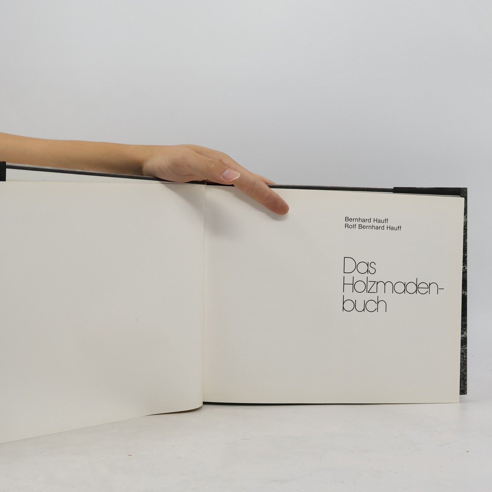 Bernhard Hauff Das Holzmadenbuch