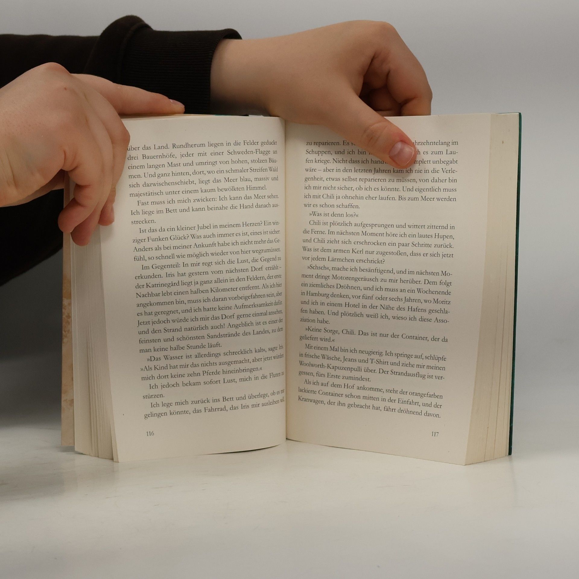 Emma Sternberg Der Wind und die Wellen und wir