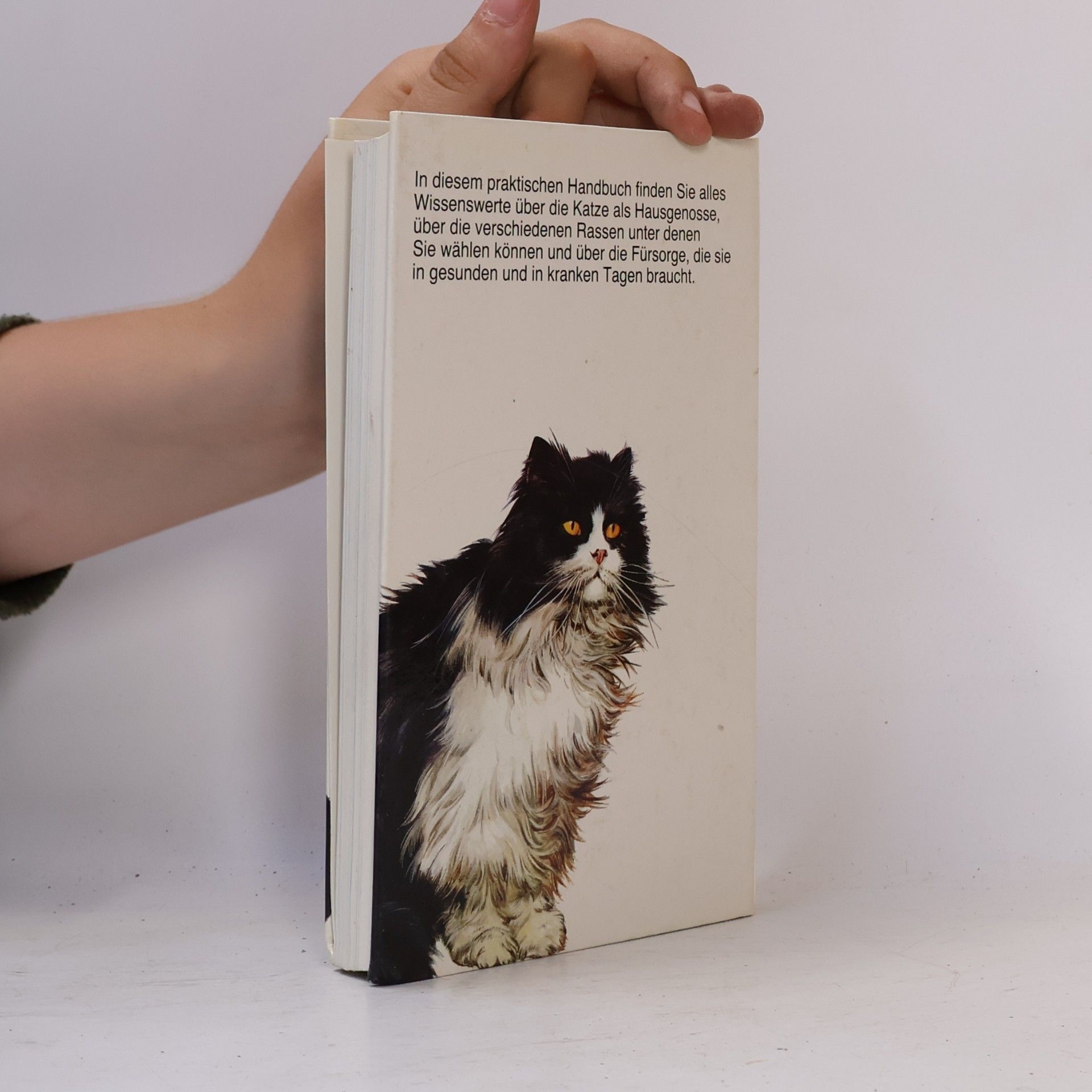 Kolektiv autorů Katzen-Lexikon
