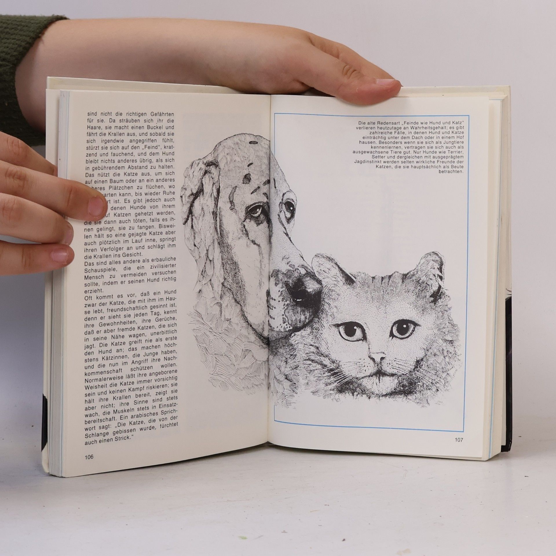 Kolektiv autorů Katzen-Lexikon