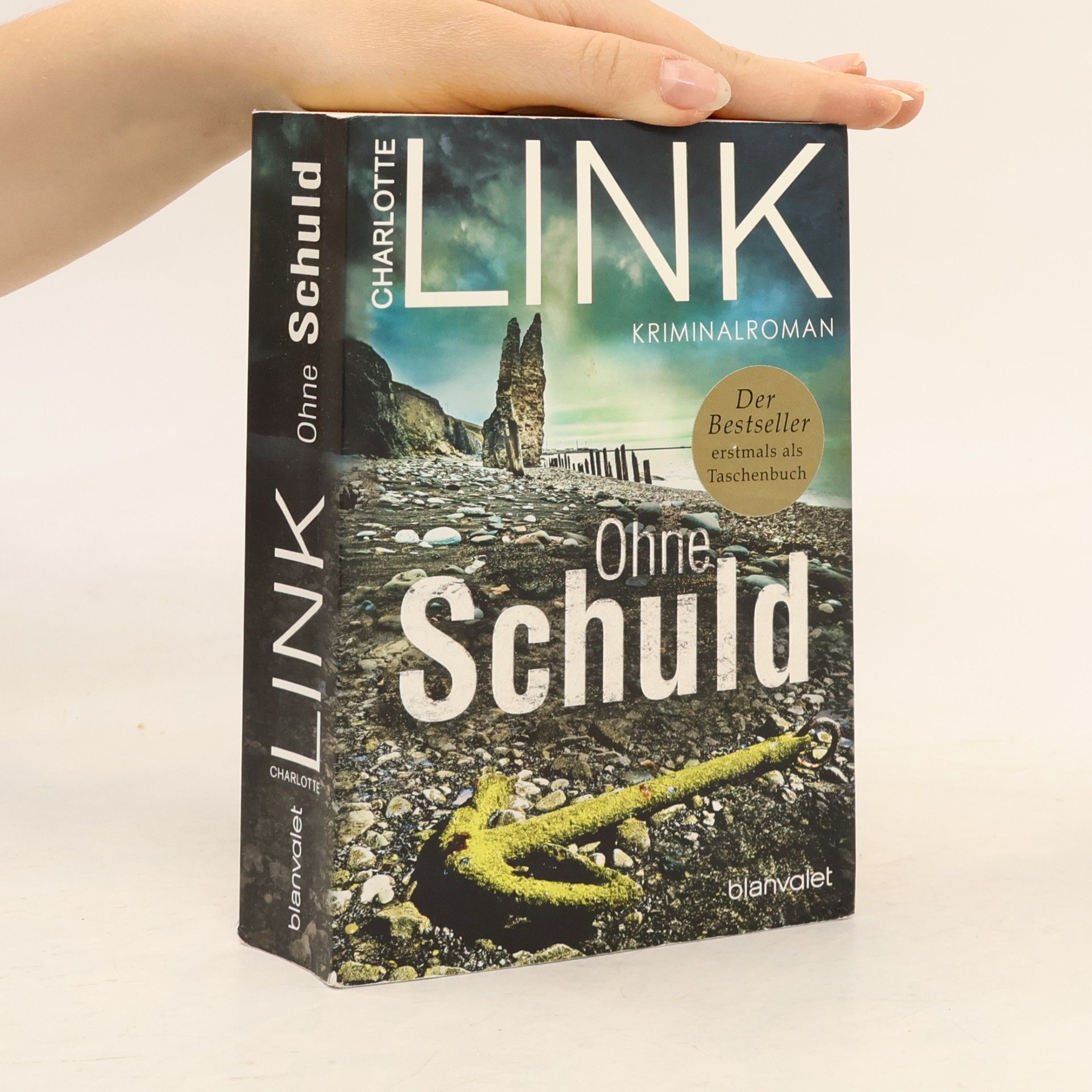 Charlotte Link Ohne Schuld