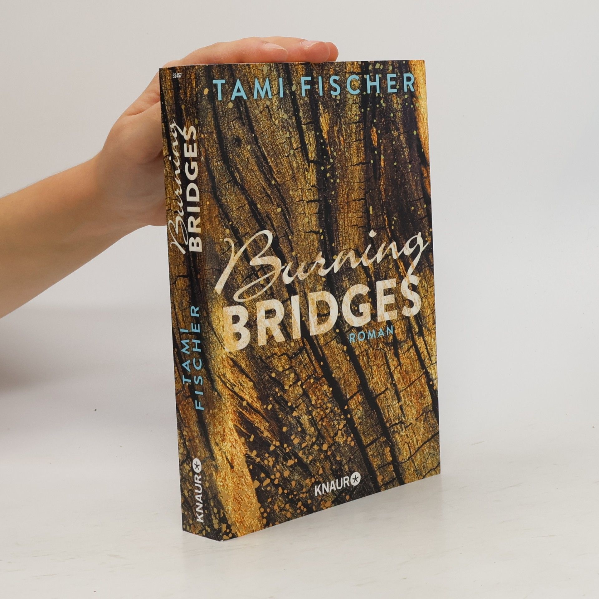 Tami Fischer Burning bridges