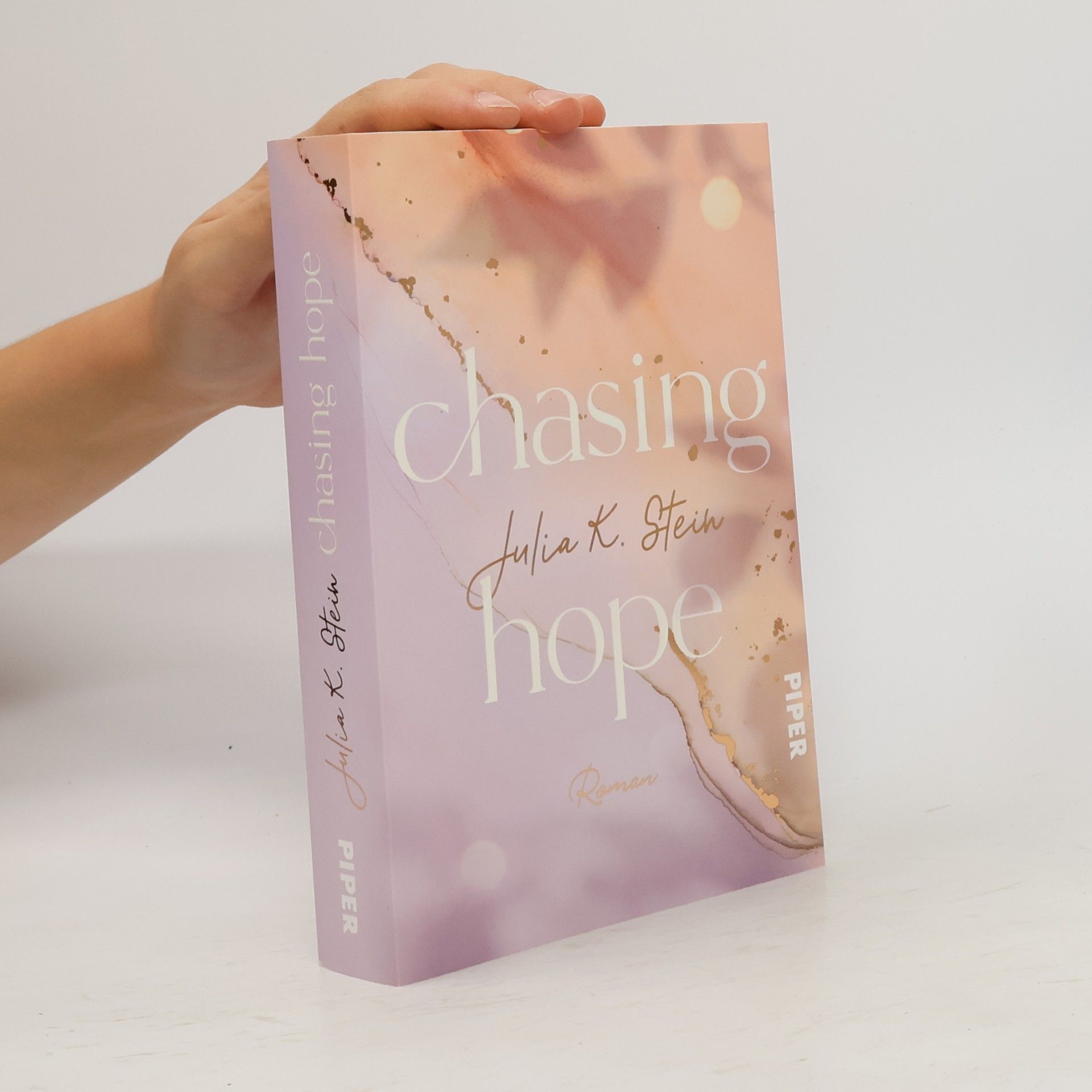 Julia K. Stein Chasing Hope