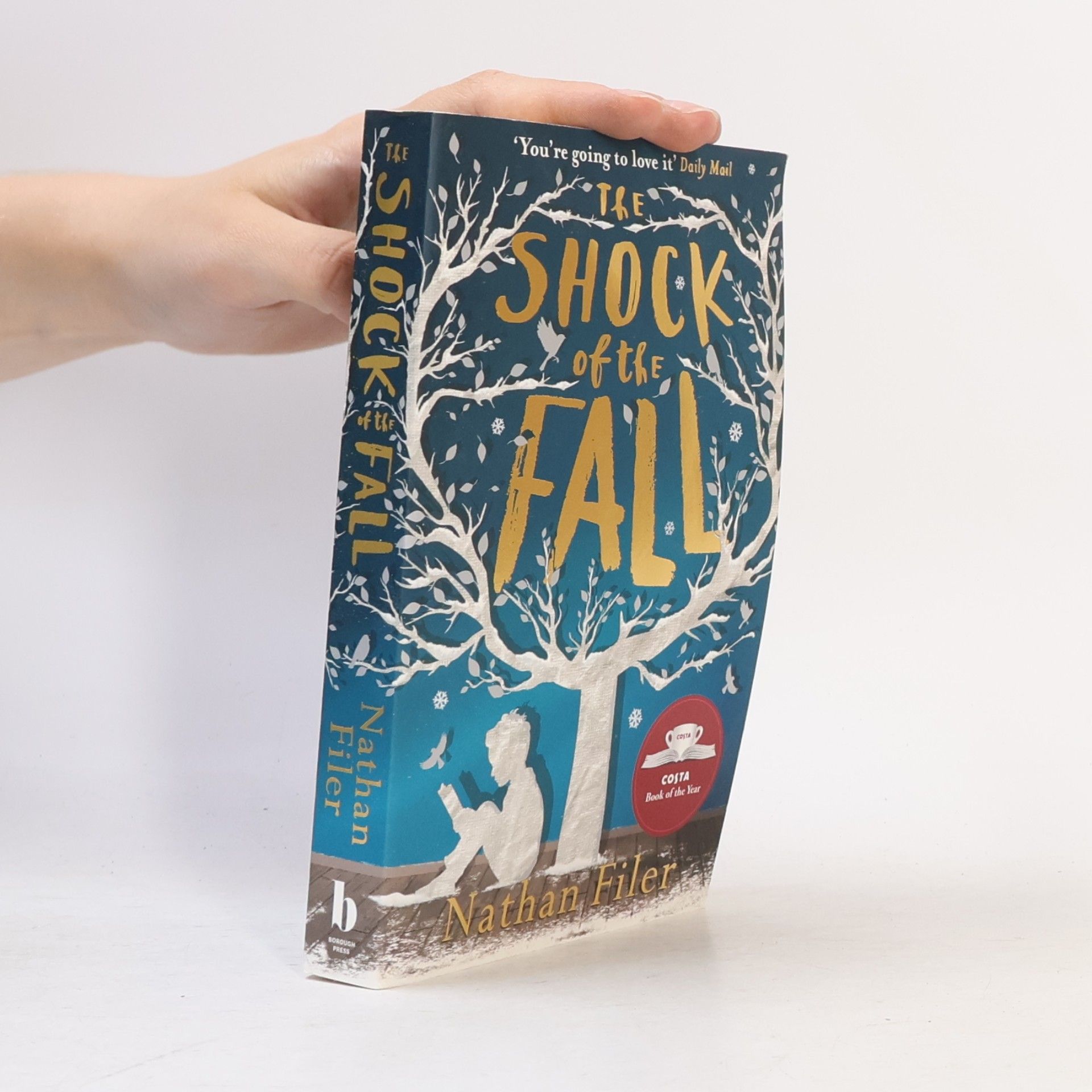 Nathan Filer The shock of the fall