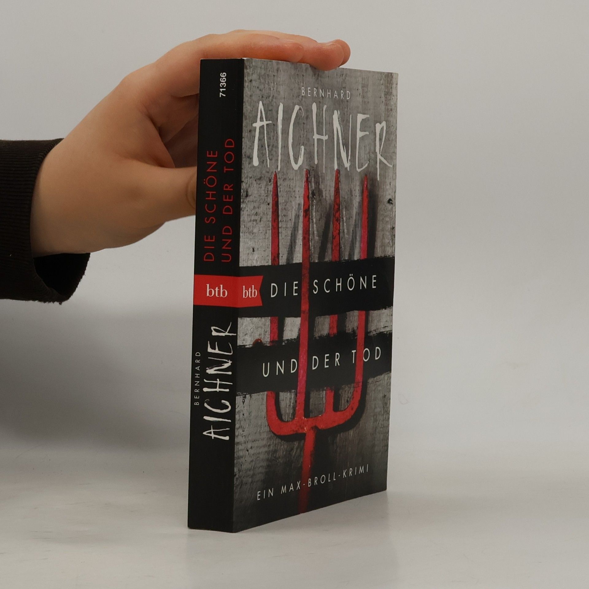 Bernhard Aichner Die Schöne und der Tod
