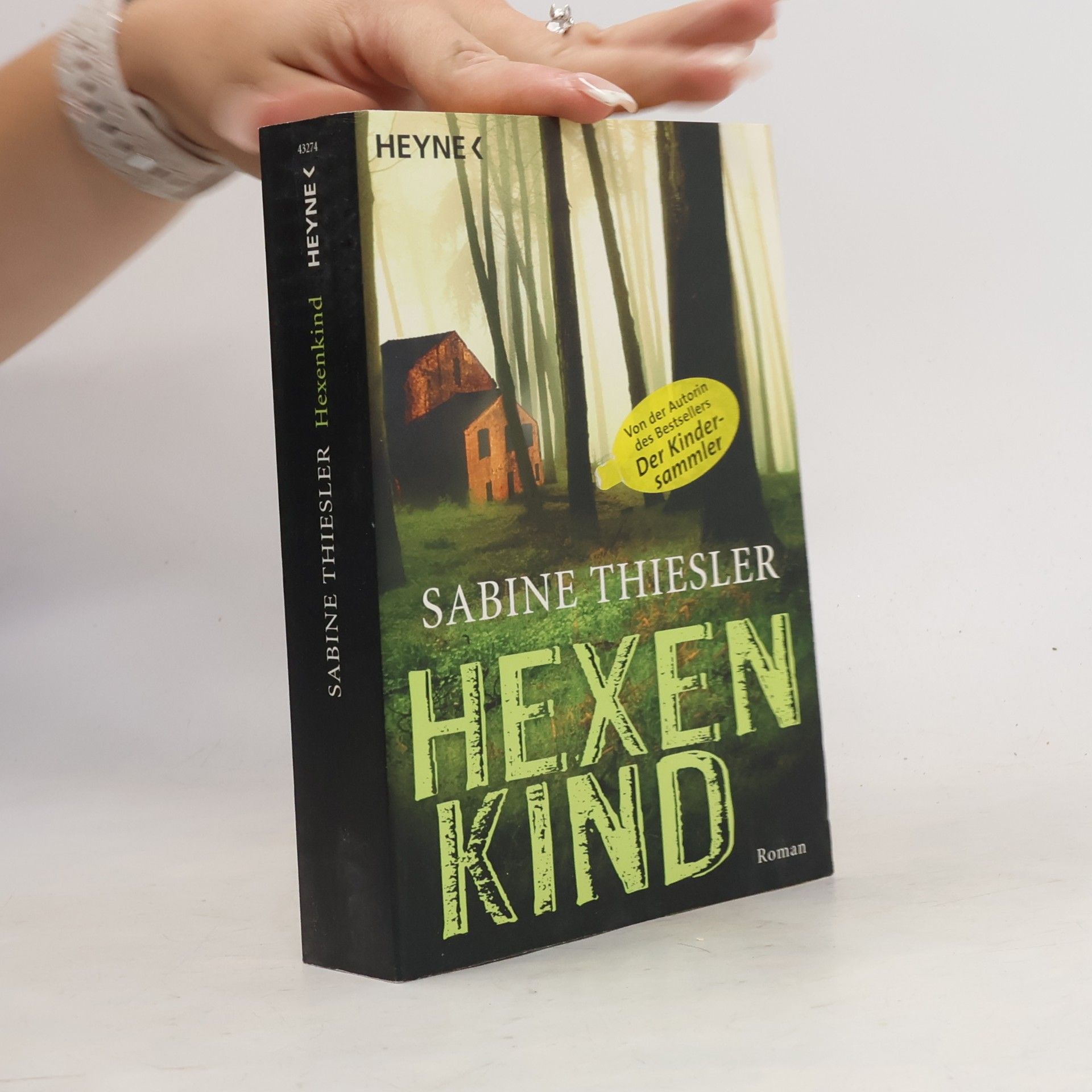 Sabine Thiesler Hexenkind - Roman