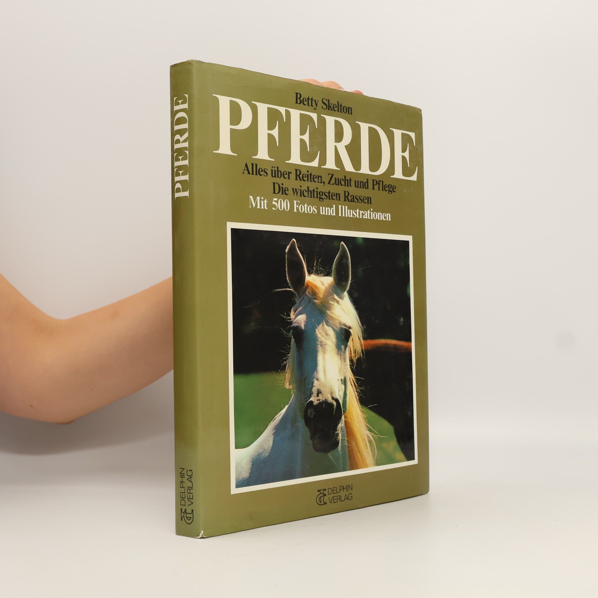 Betty Skelton Pferde