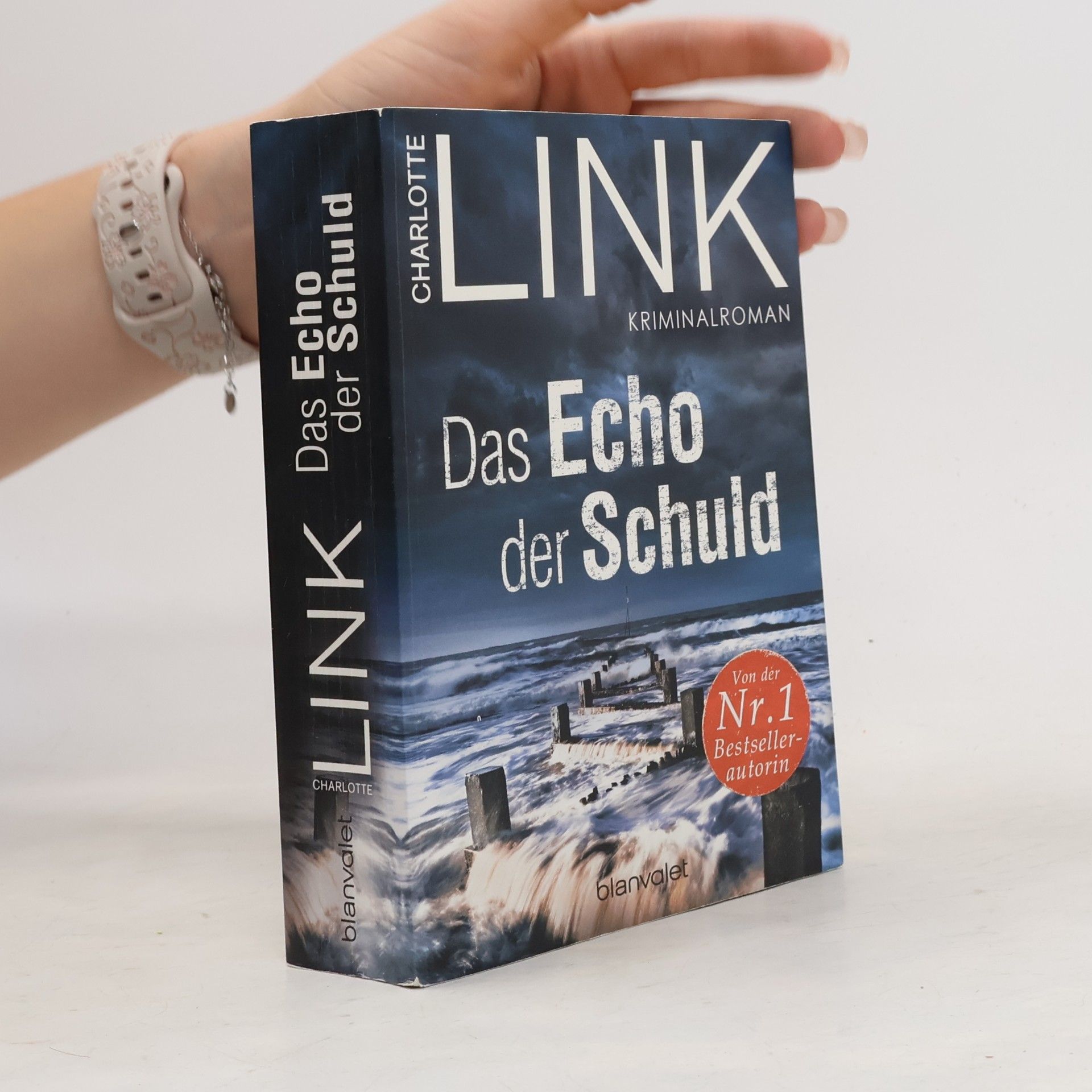 Charlotte Link Das Echo der Schuld