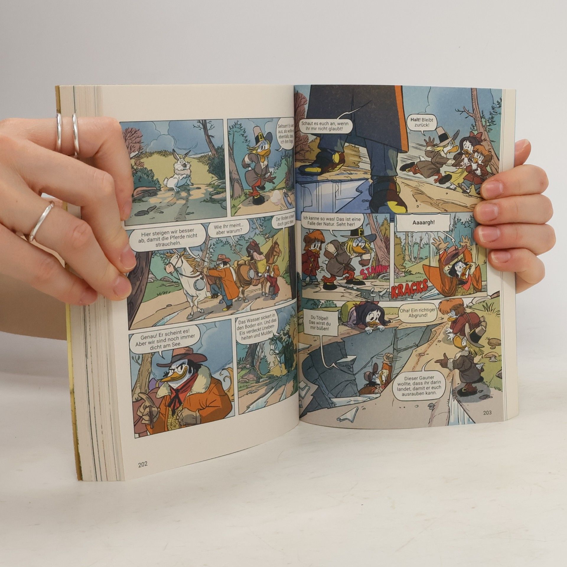 Autorenkollektiv Lustiges Taschenbuch Enten-Edition. Band 95. Die Legende von Emil Erpel