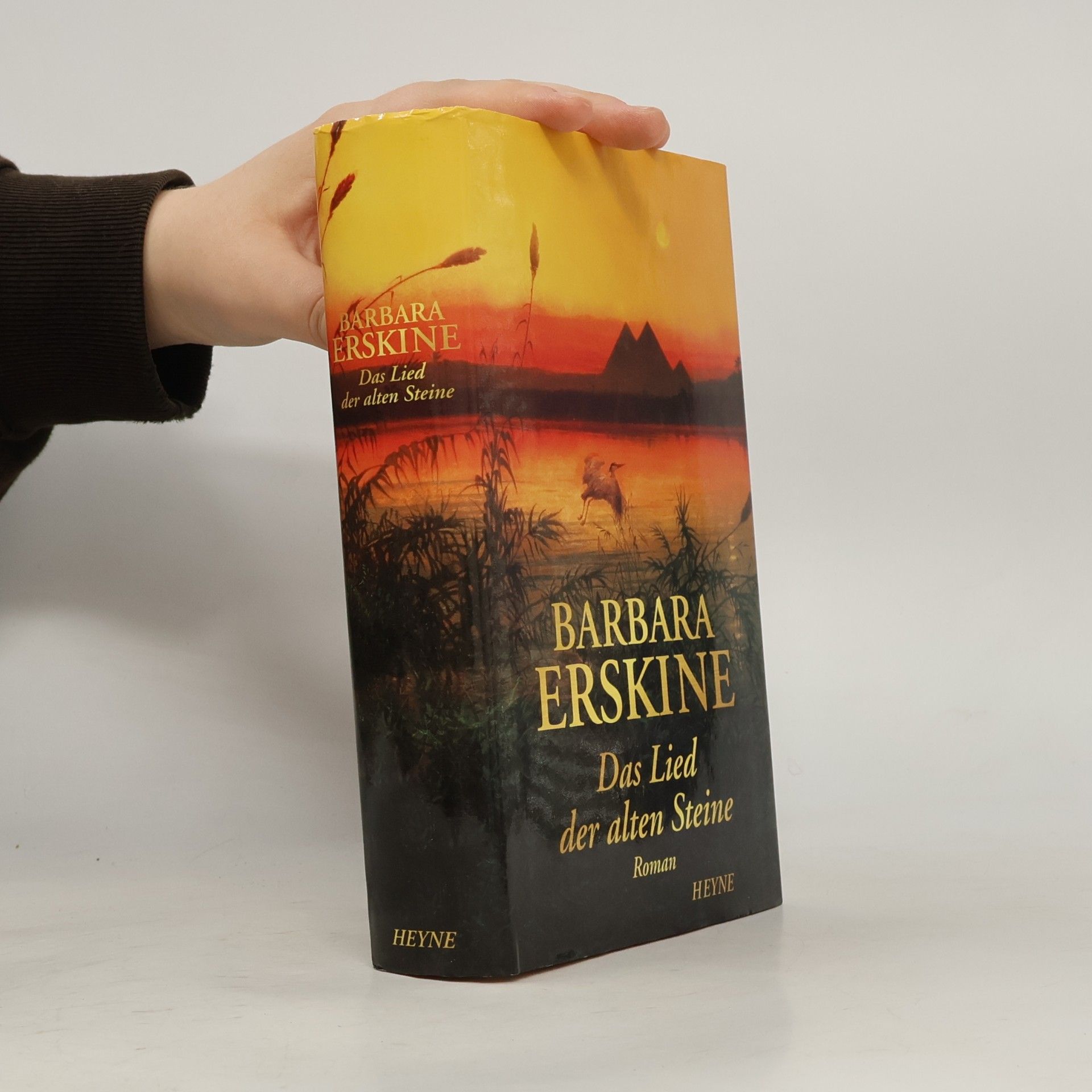 Barbara Erskine Das Lied der alten Steine