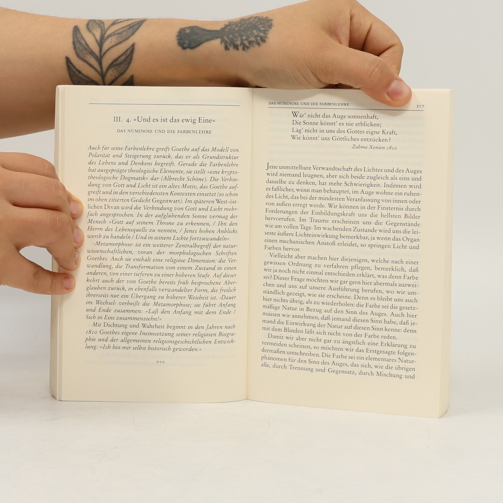 Johann Wolfgang von Goethe Insel Taschenbuch - 2200: Goethe und die Religion