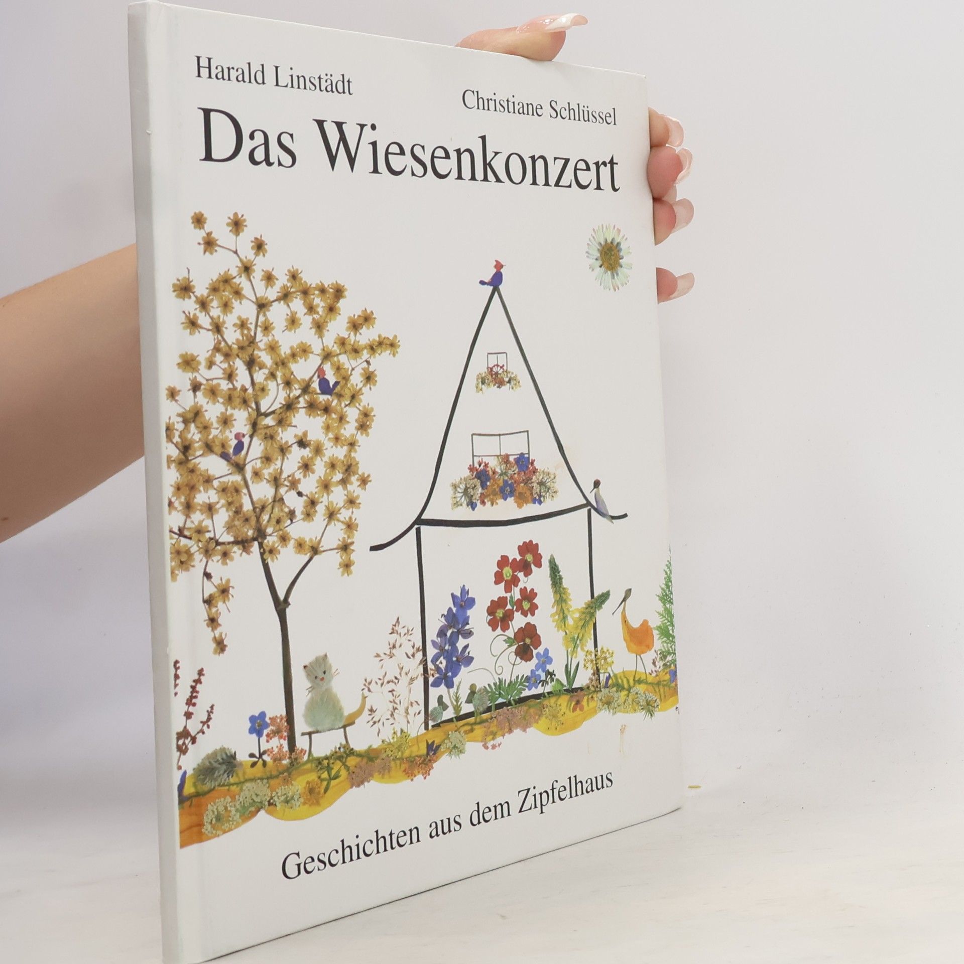 Christiane Schlüssel Das Wiesenkonzert