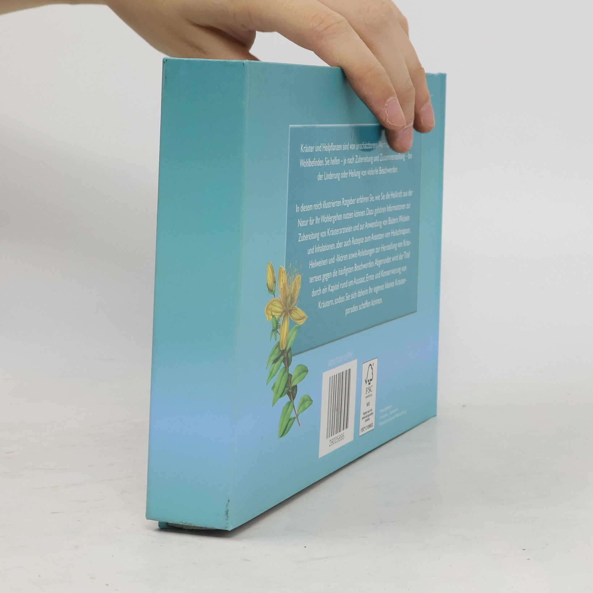 Autorenkollektiv Gesundheit aus der Kräuterapotheke