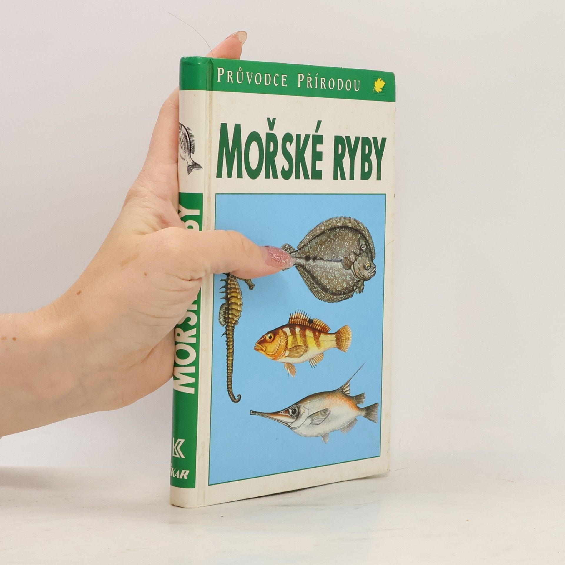 Mořské ryby v evropských vodách