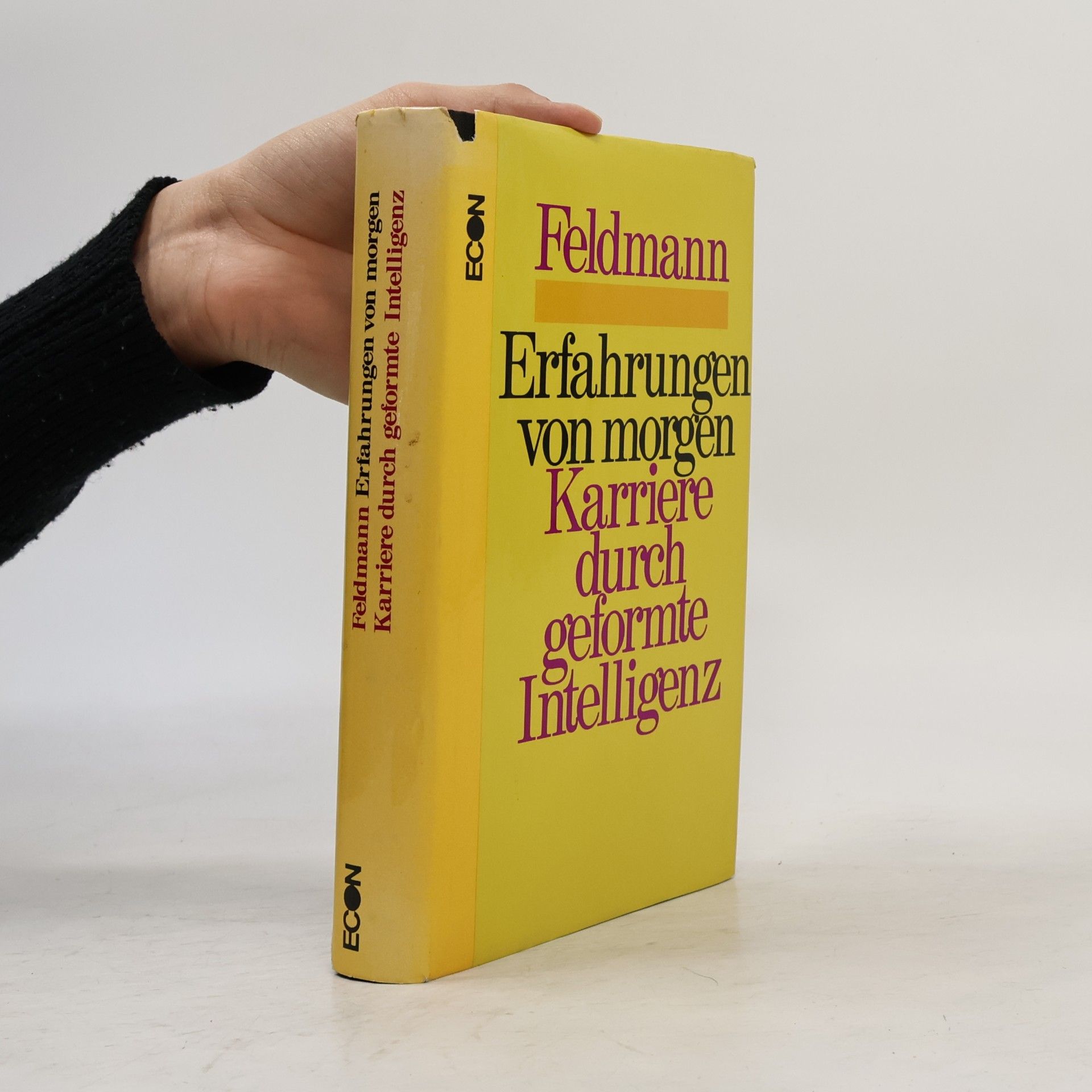 Paul Feldmann Erfahrungen von morgen